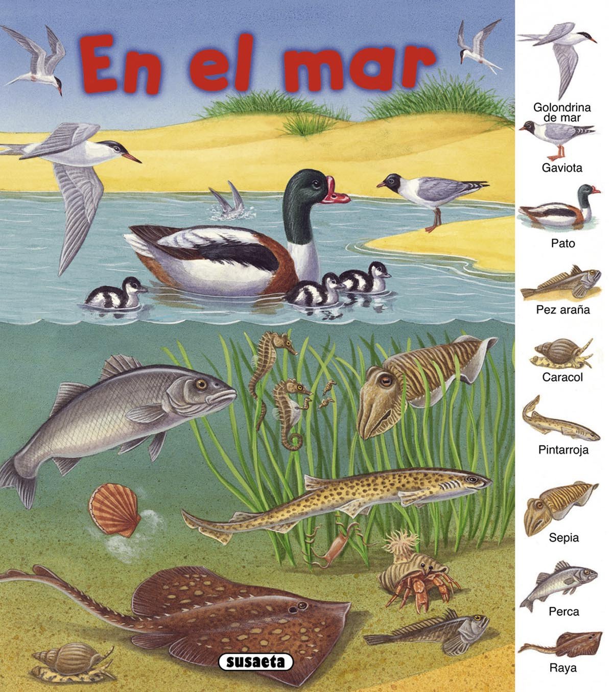 En el mar (Busca y aprende) Non-fiction