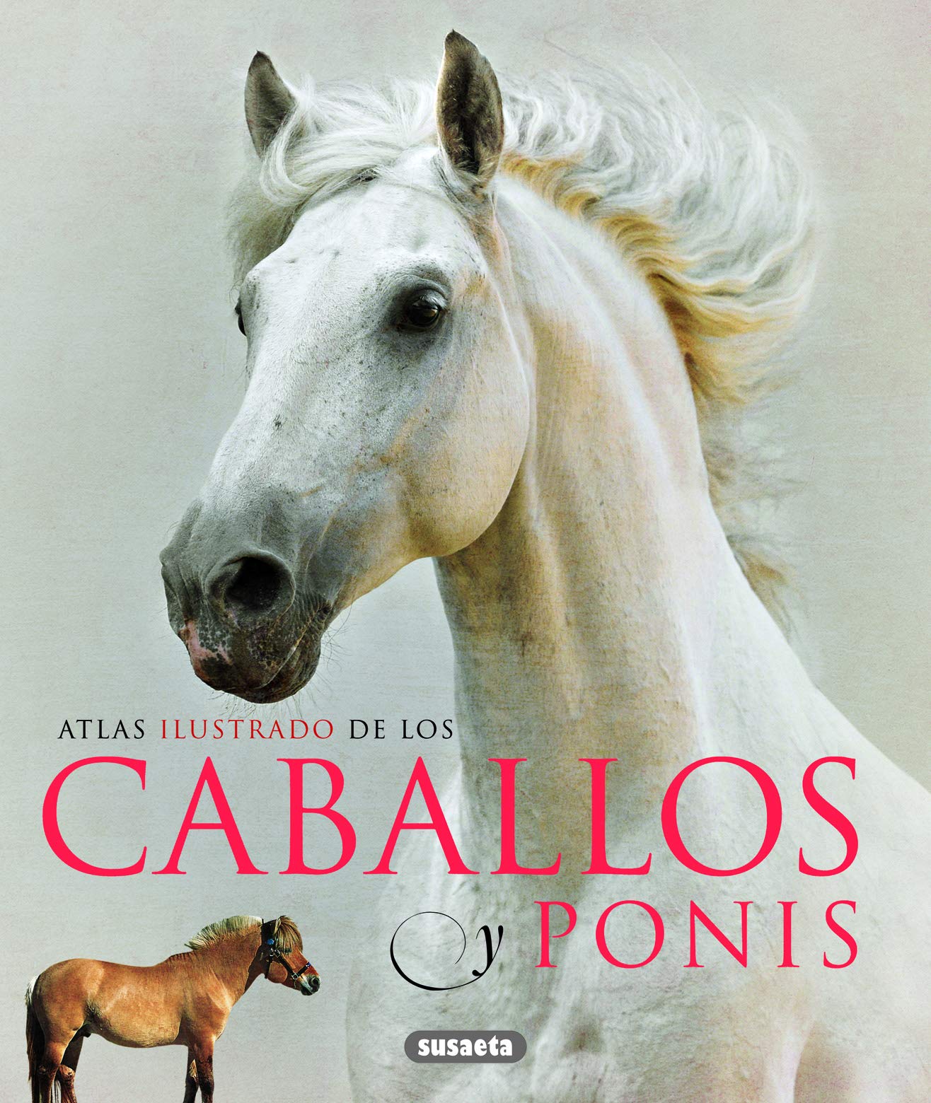 Caballos y ponis Mathematics Books