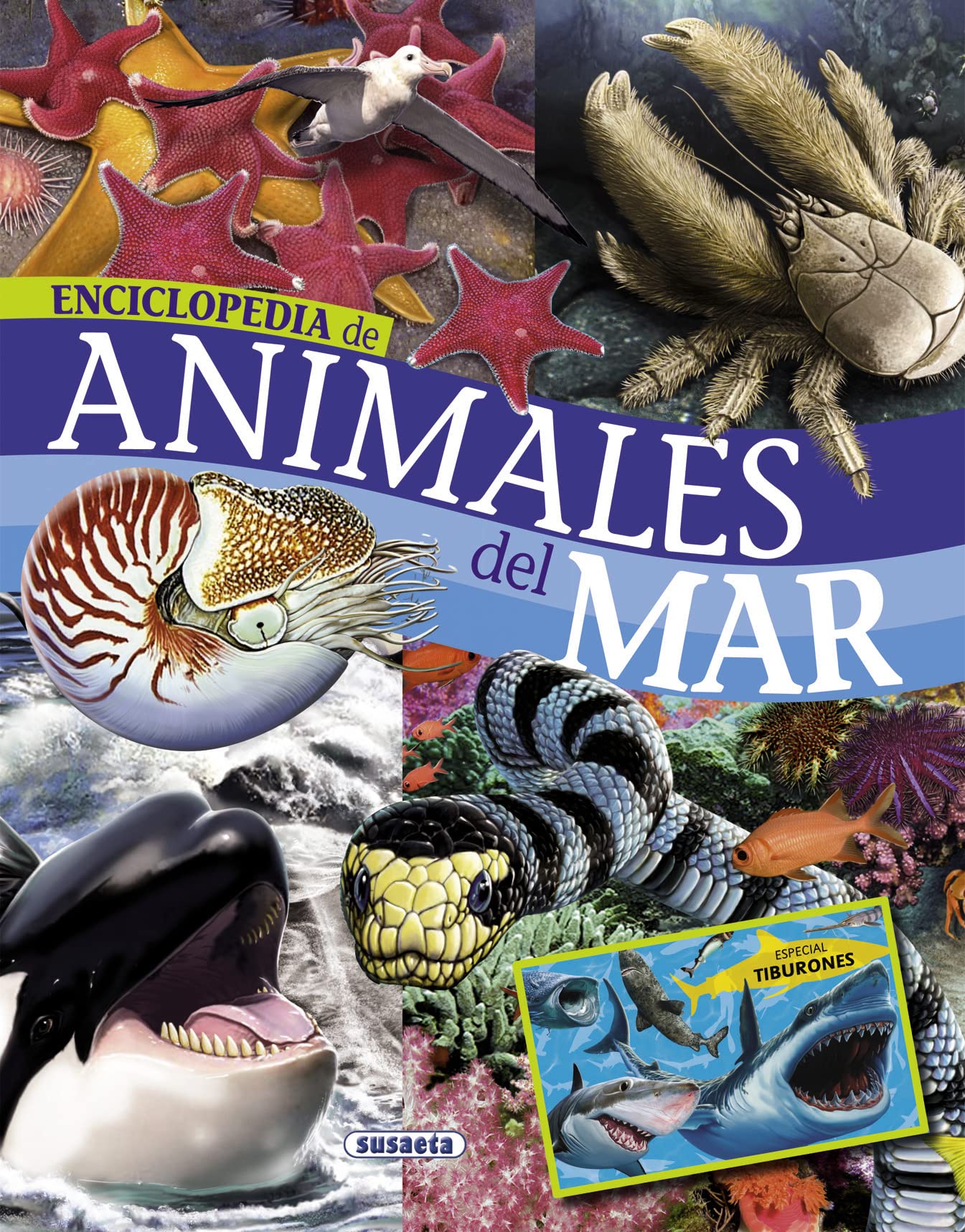 Animales del mar/ Sea Animals book