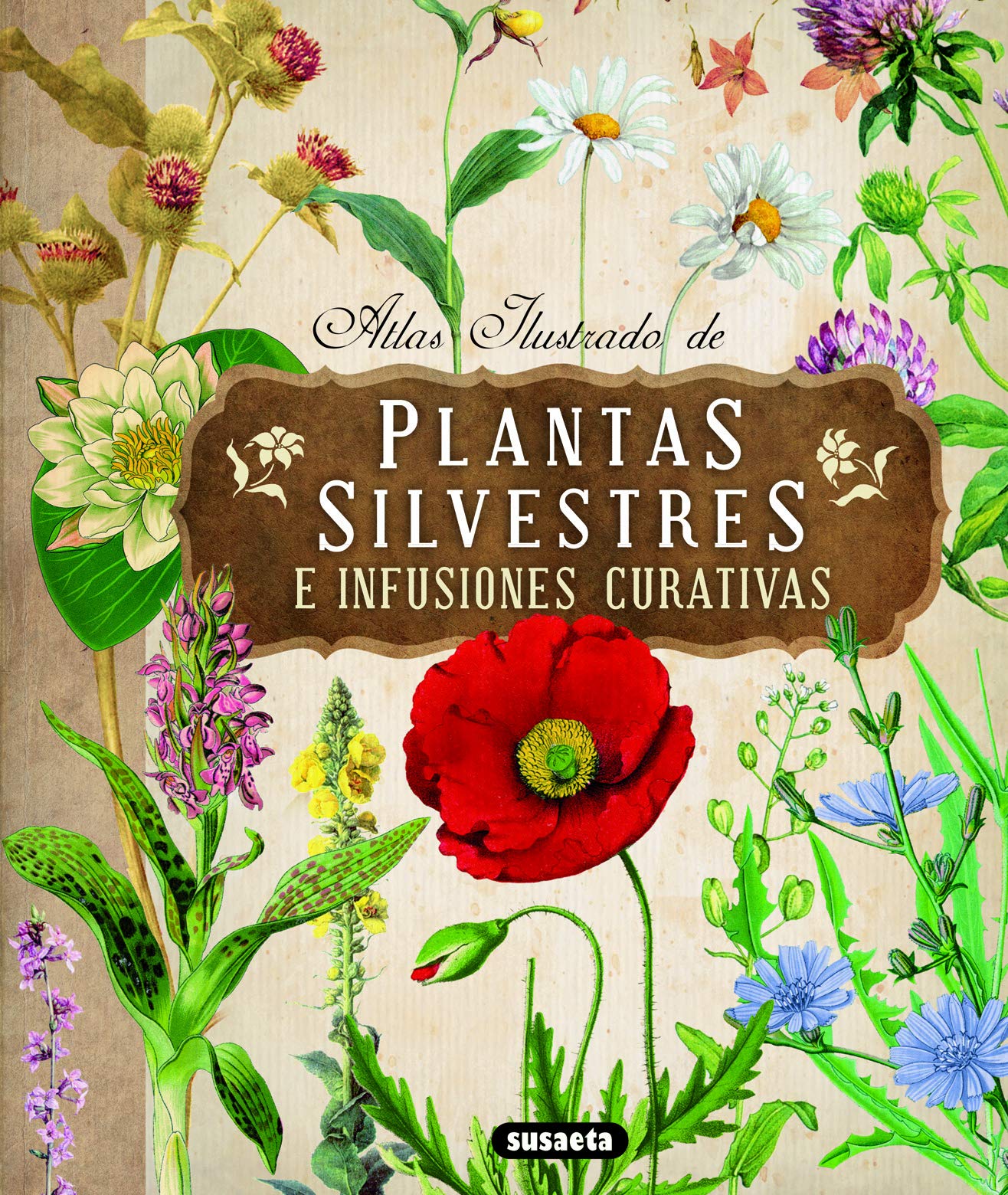 Atlas Ilustrado de Plantas Silvestres E Infusiones Curativas Medicine