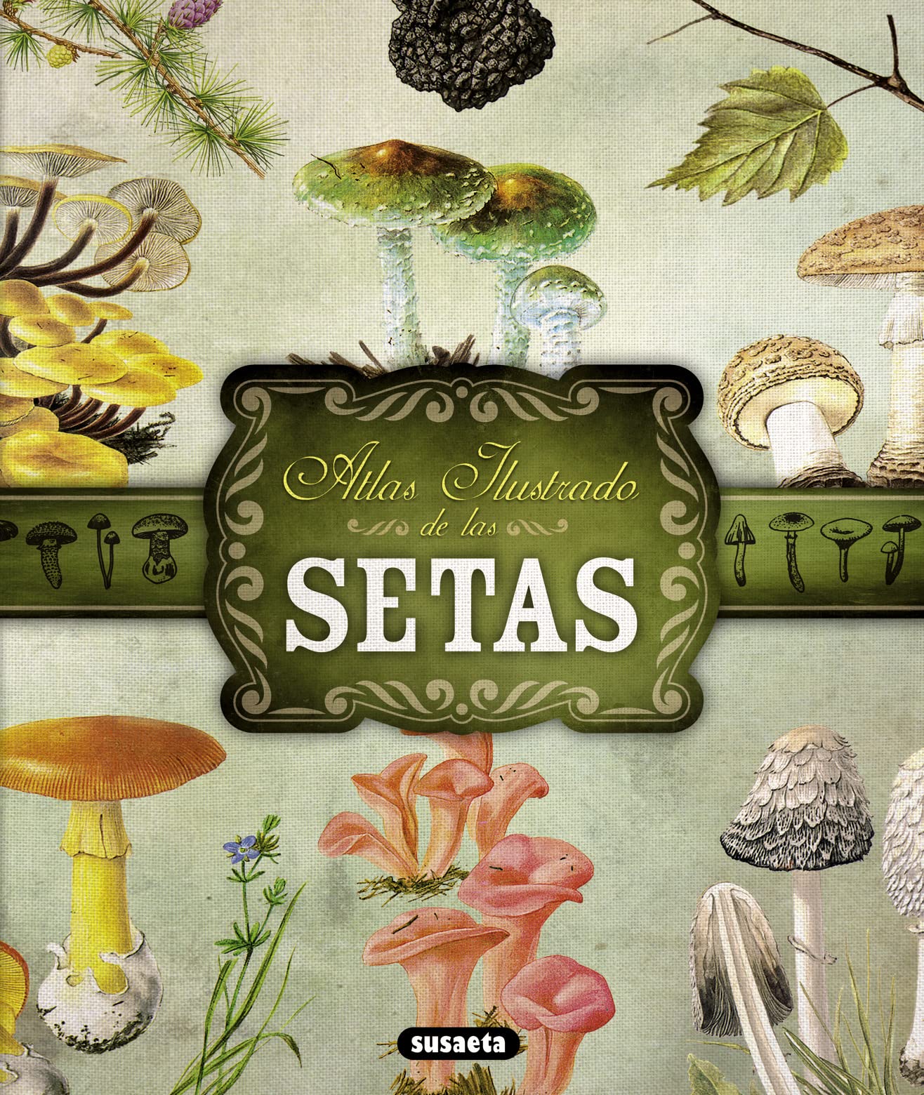 Atlas ilustrado de las setas/ Illustrated Atlas of mushrooms book