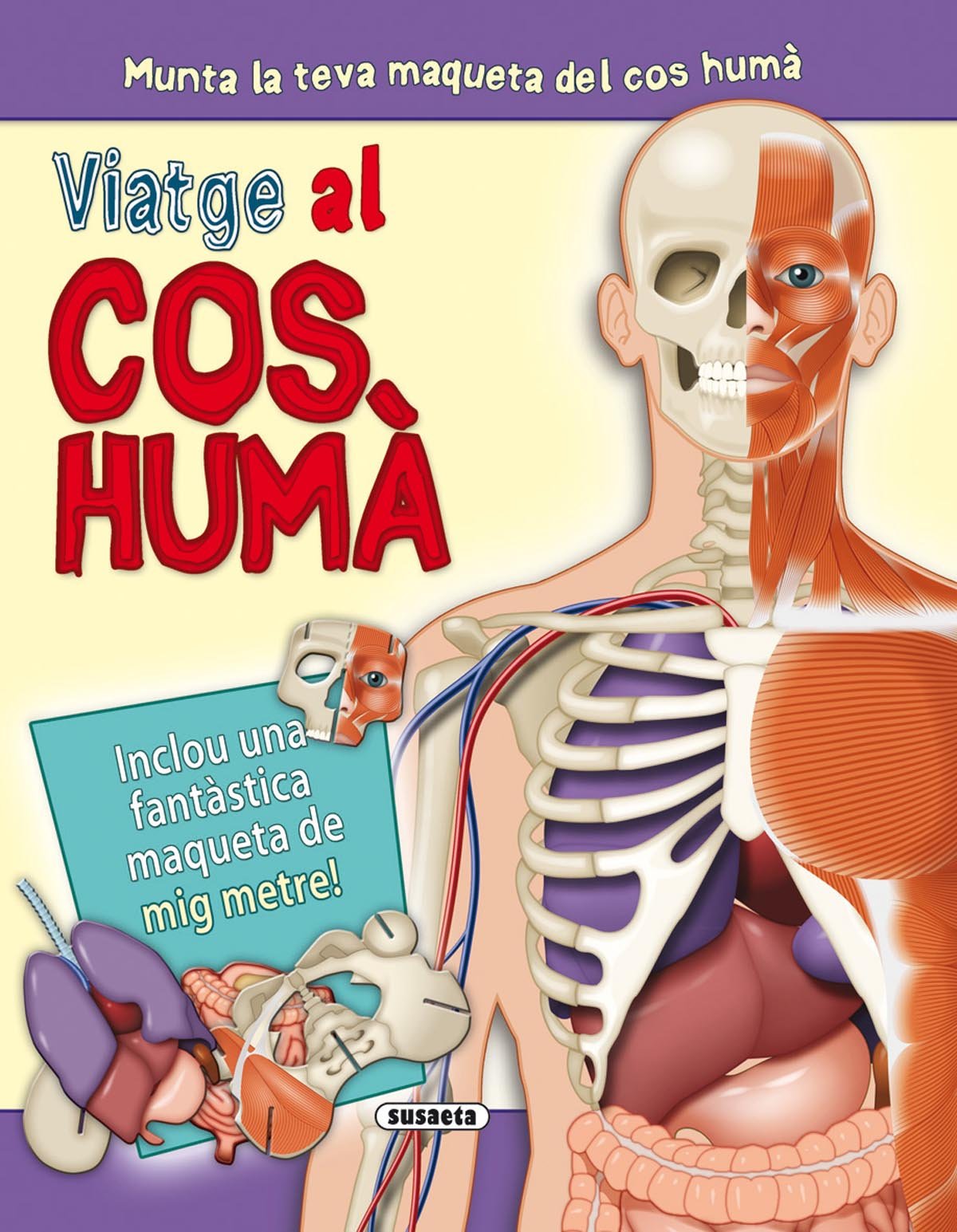 Viatge al cos humà book