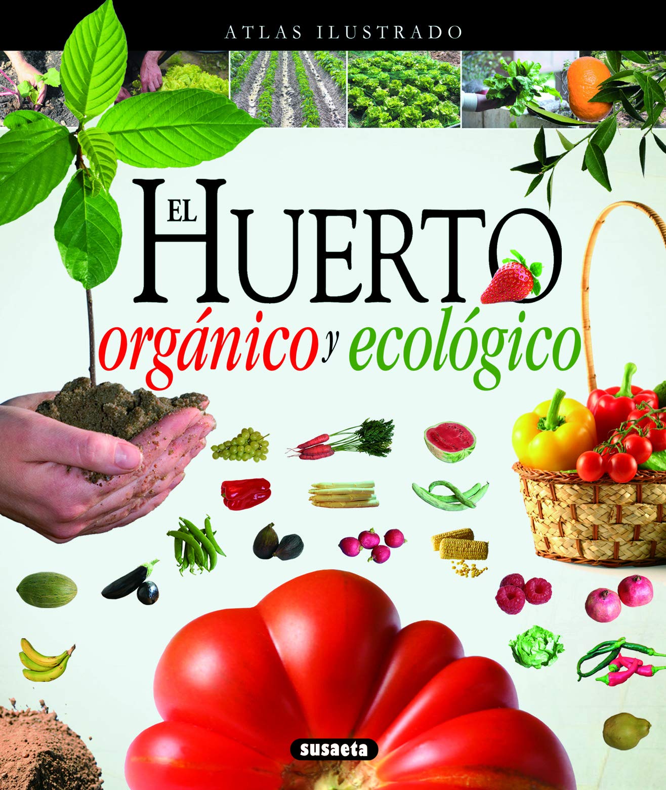 El huerto orgánico ecológico Garden & Plants