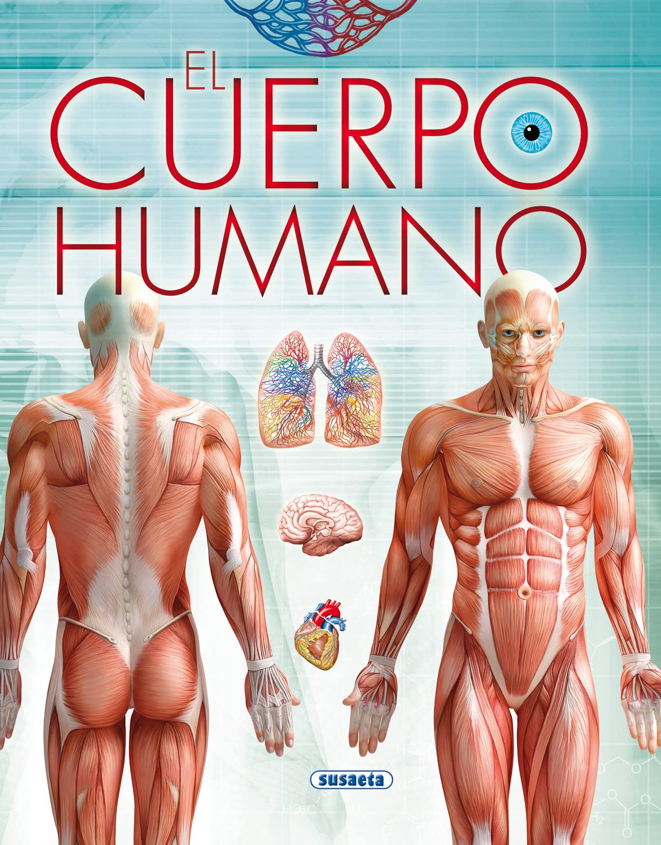 El cuerpo humano book