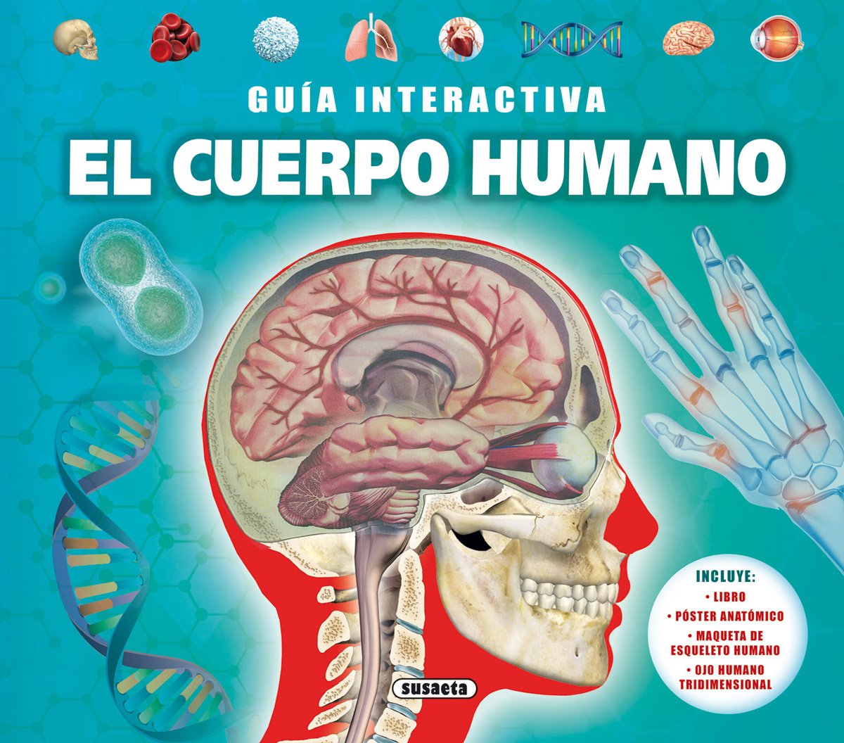 El cuerpo humano Learning & Reference