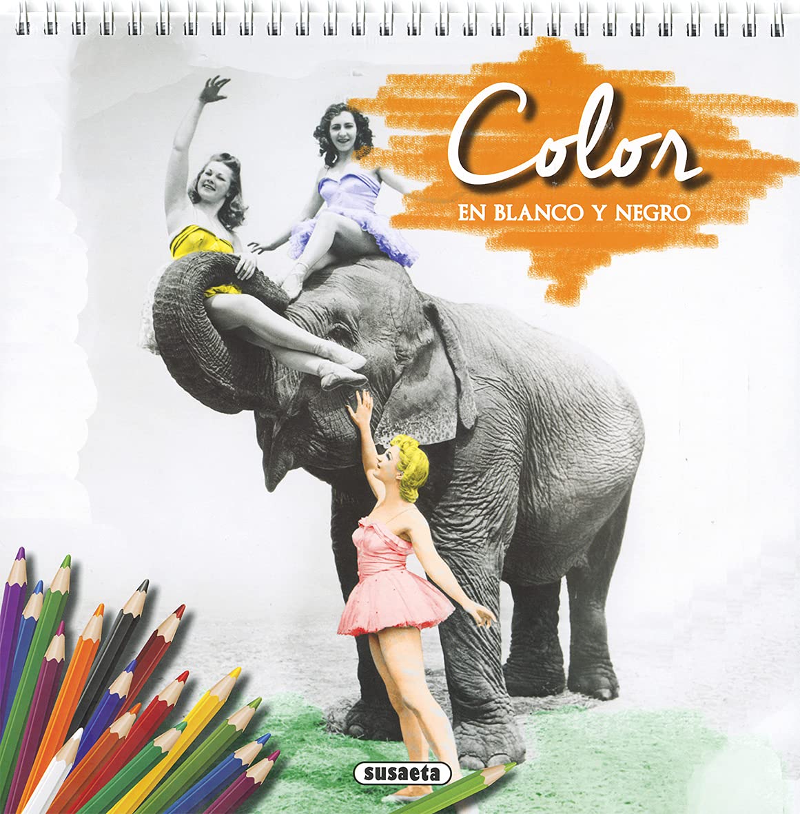Color en blanco y negro Education