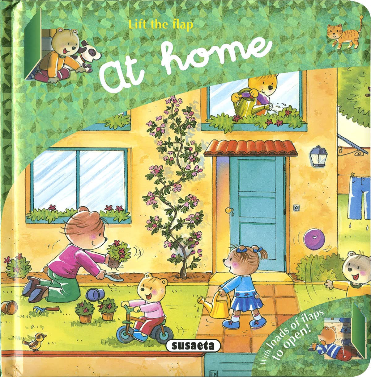 At home (Lift the flap) Non-fiction