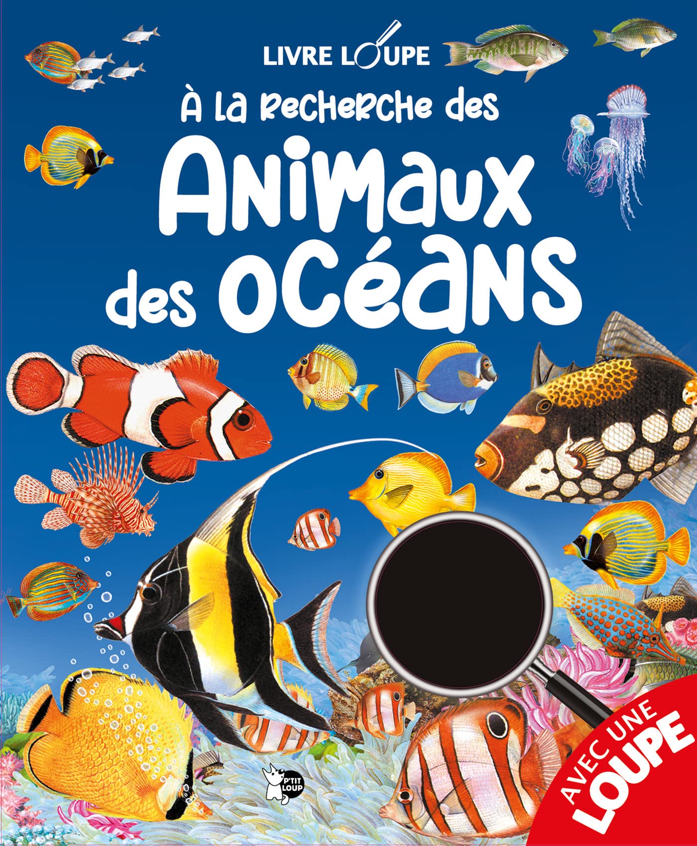 A la recherche des Animaux des Océans book