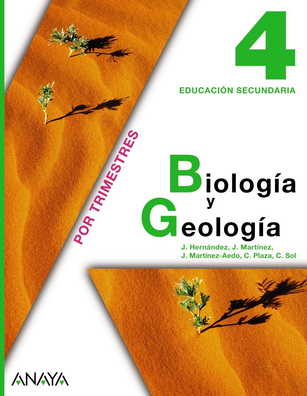 Biología y geología, 4 ESO Books