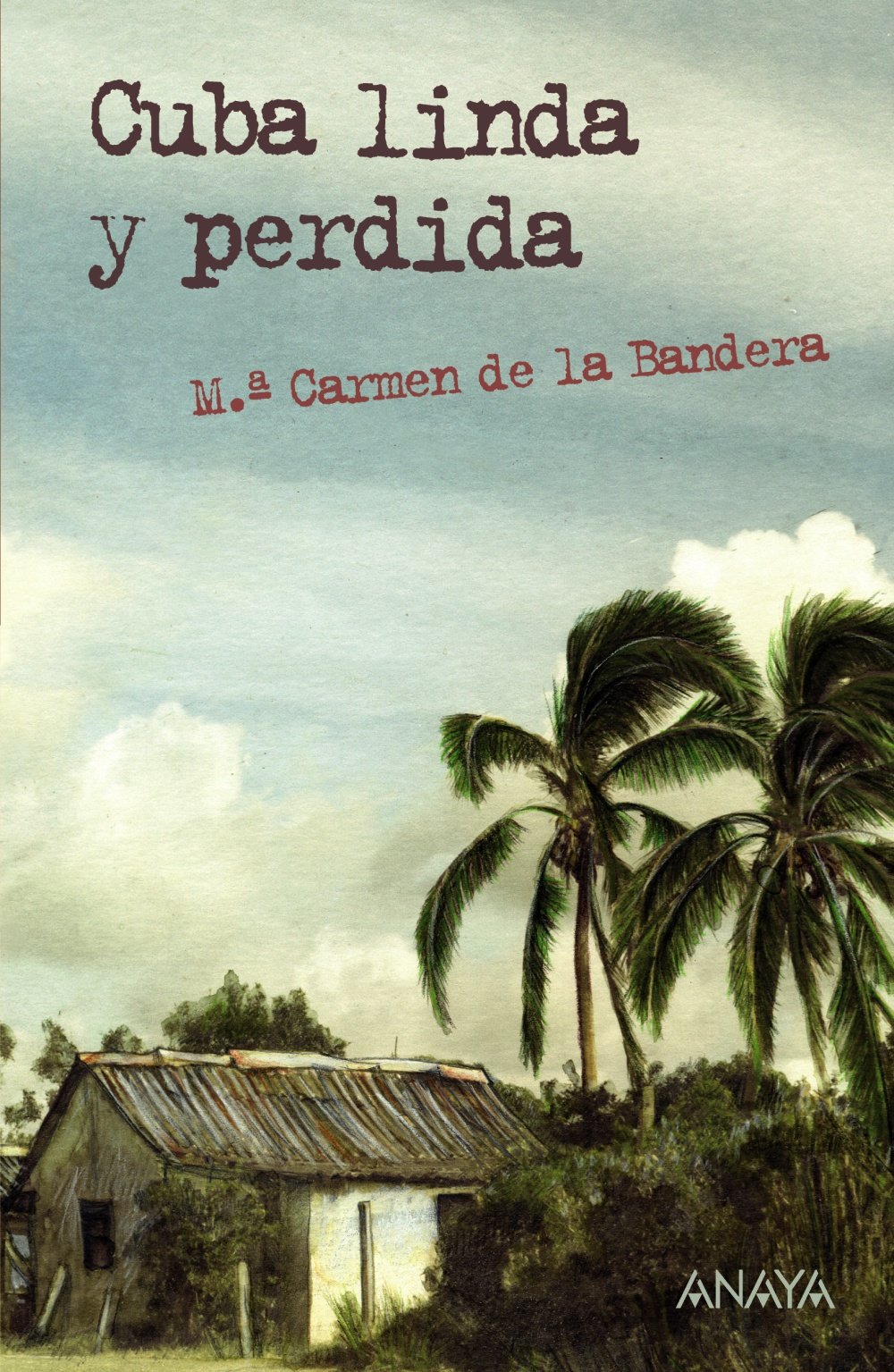Cuba linda y perdida / Pretty and lost Cuba book