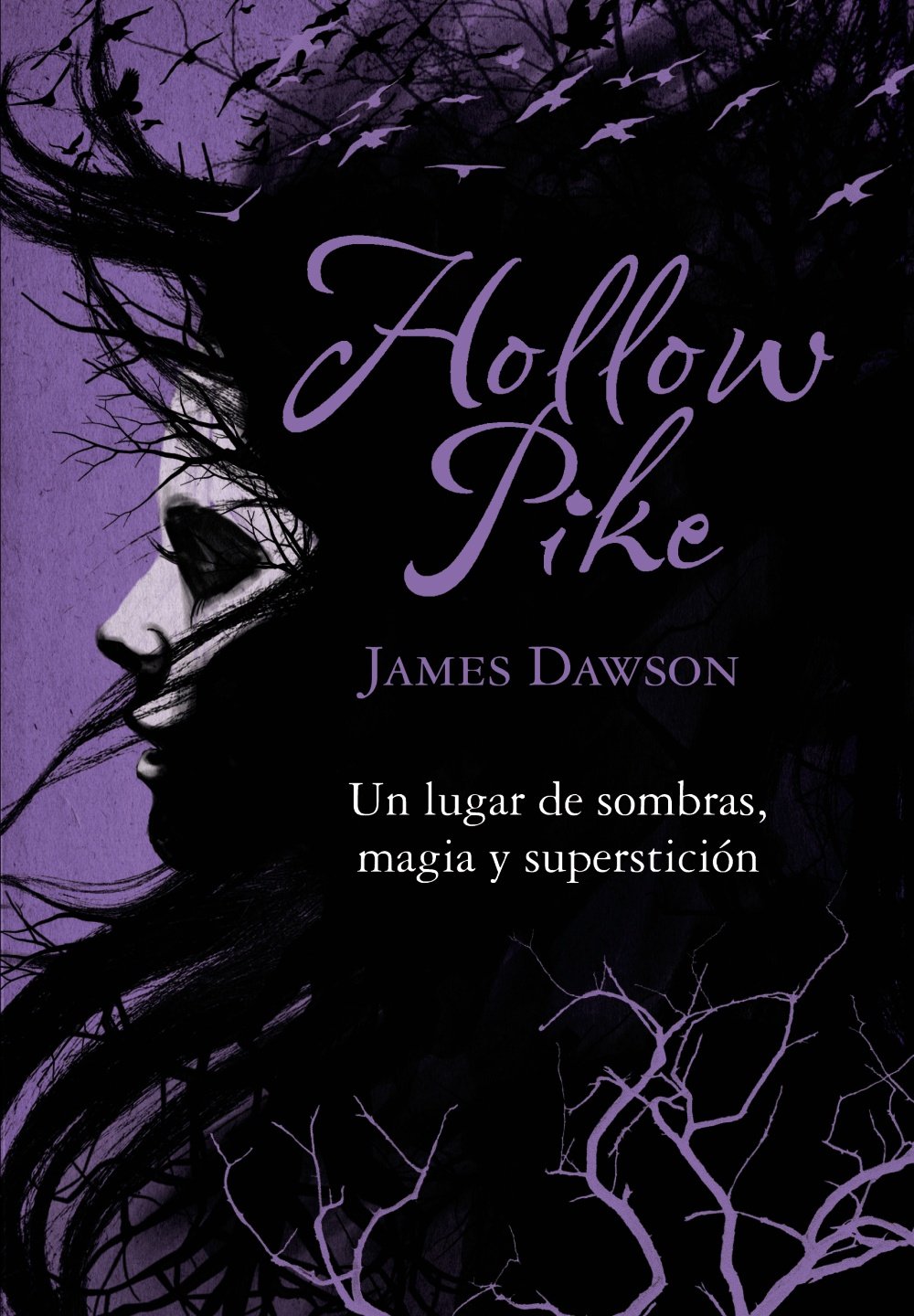 Hollow Pike (LITERATURA JUVENIL - Narrativa juvenil) Fiction