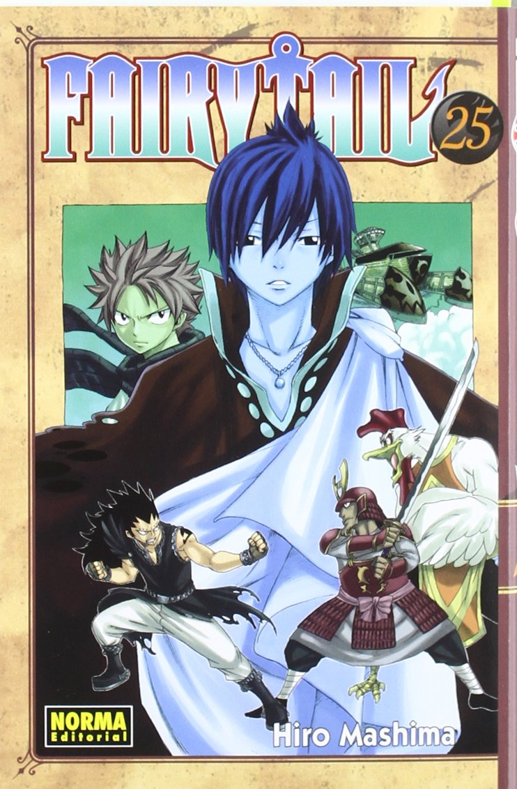 Fairy Tail 25 book