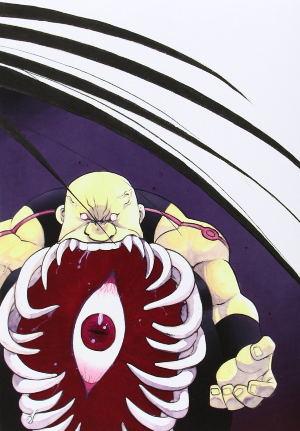Fullmetal alchemist kanzenban 9 Books