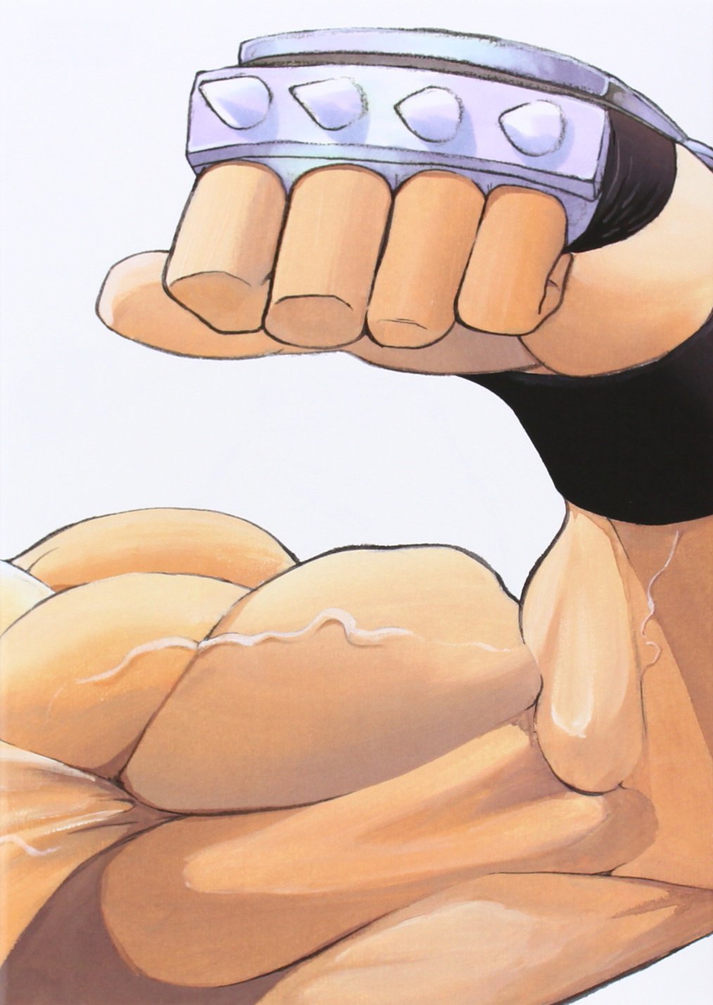 Fullmetal alchemist kanzenban 10 Books