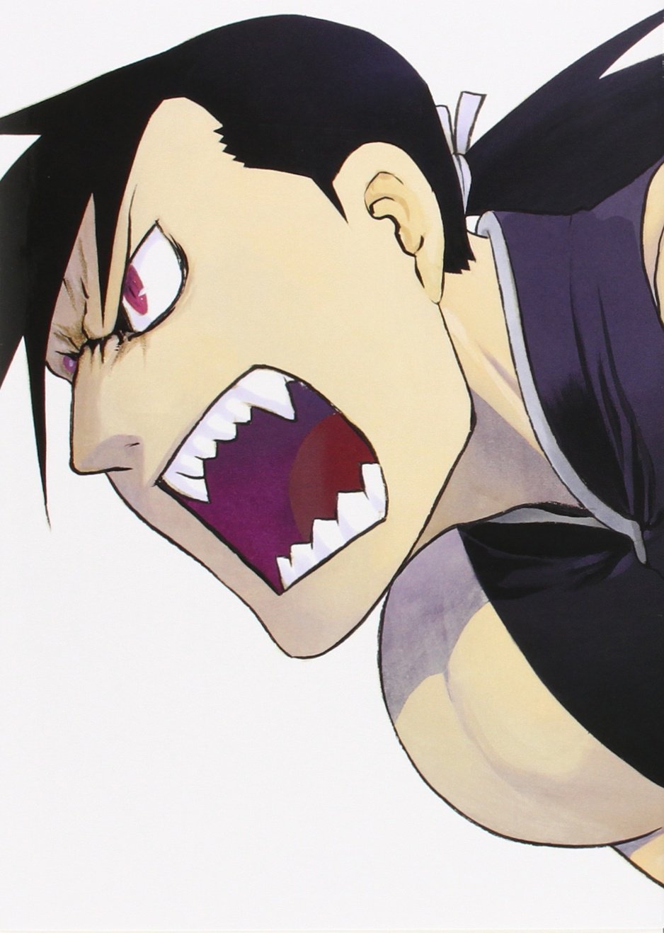 Fullmetal Alchemist kanzenban 14 Books