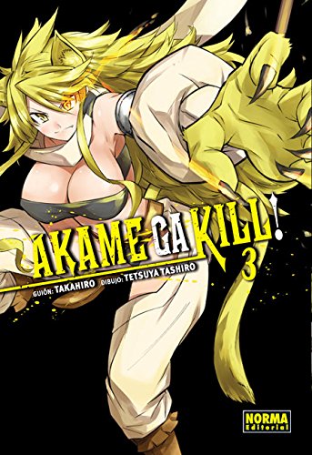 Akame ga kill! 3 Manga