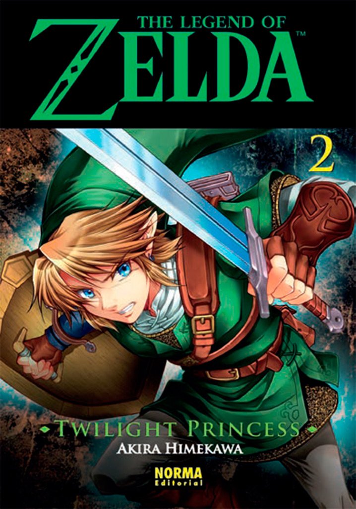 The Legend of Zelda: Twilight Princess 2 book