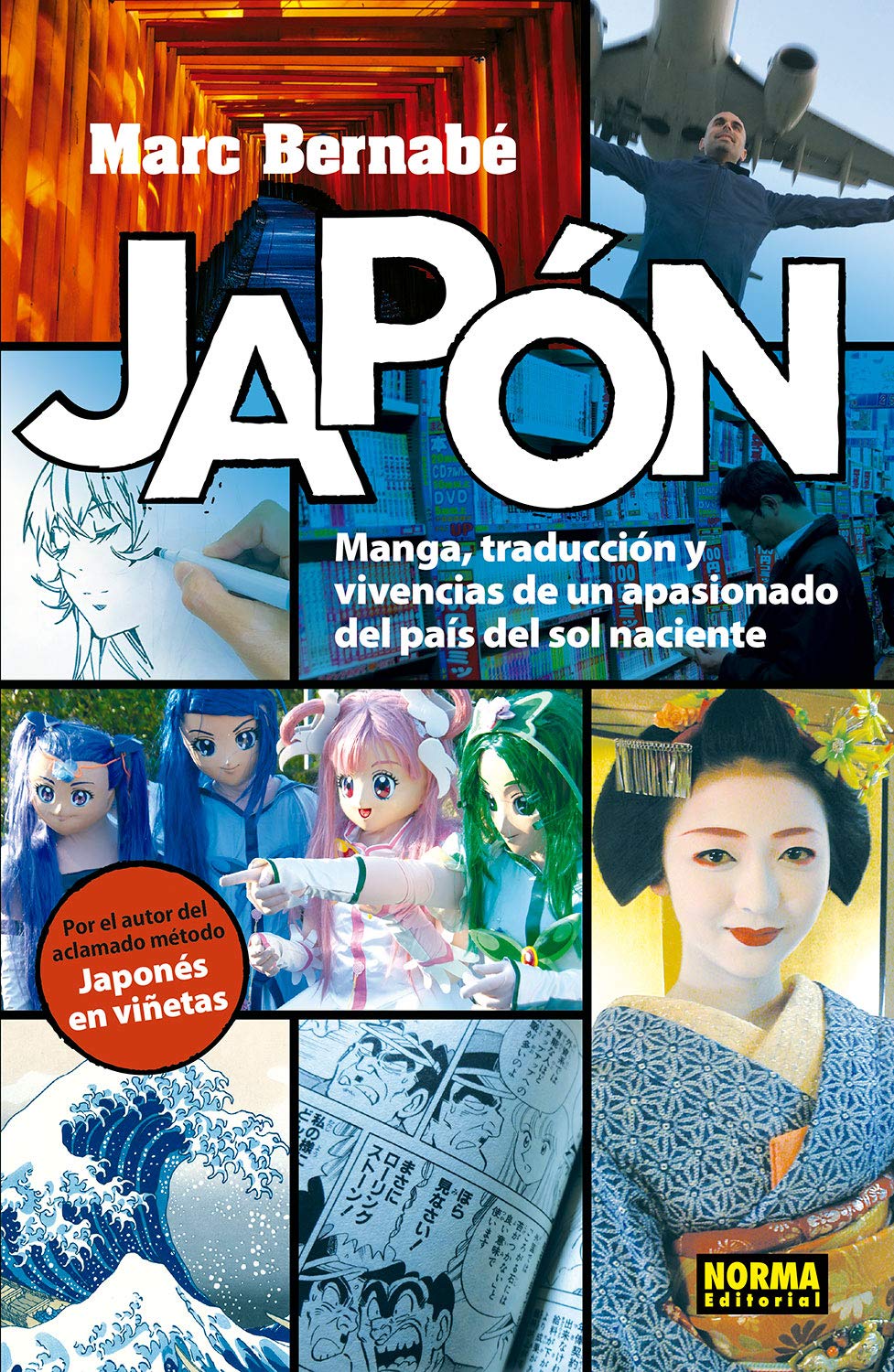JAPONES MANGA, TRADUCCIÓN Y VIVENCIAS DE UN APASIONADO DEL PAÍS Books