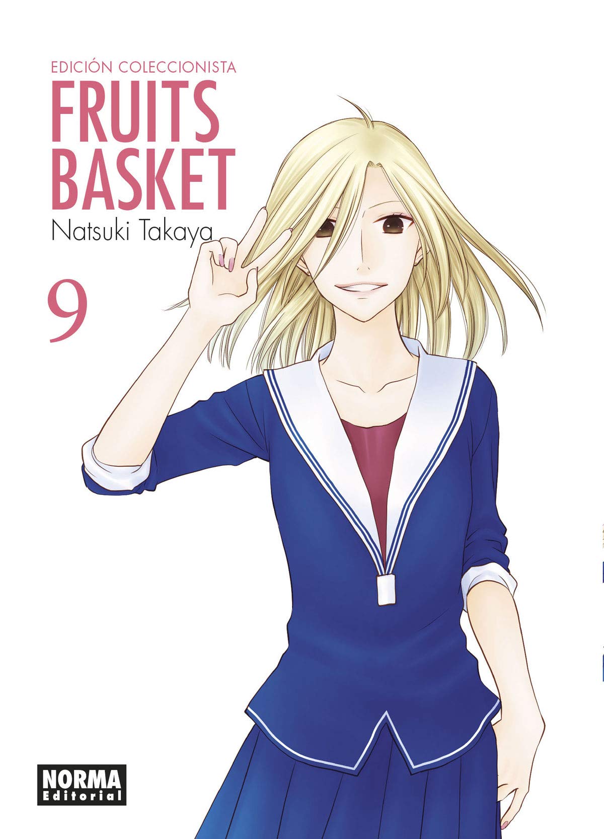 Fruits Basket Ed. Coleccionista 9 book