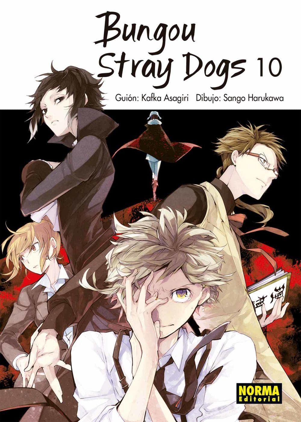 Bungou stray dogs 10 book