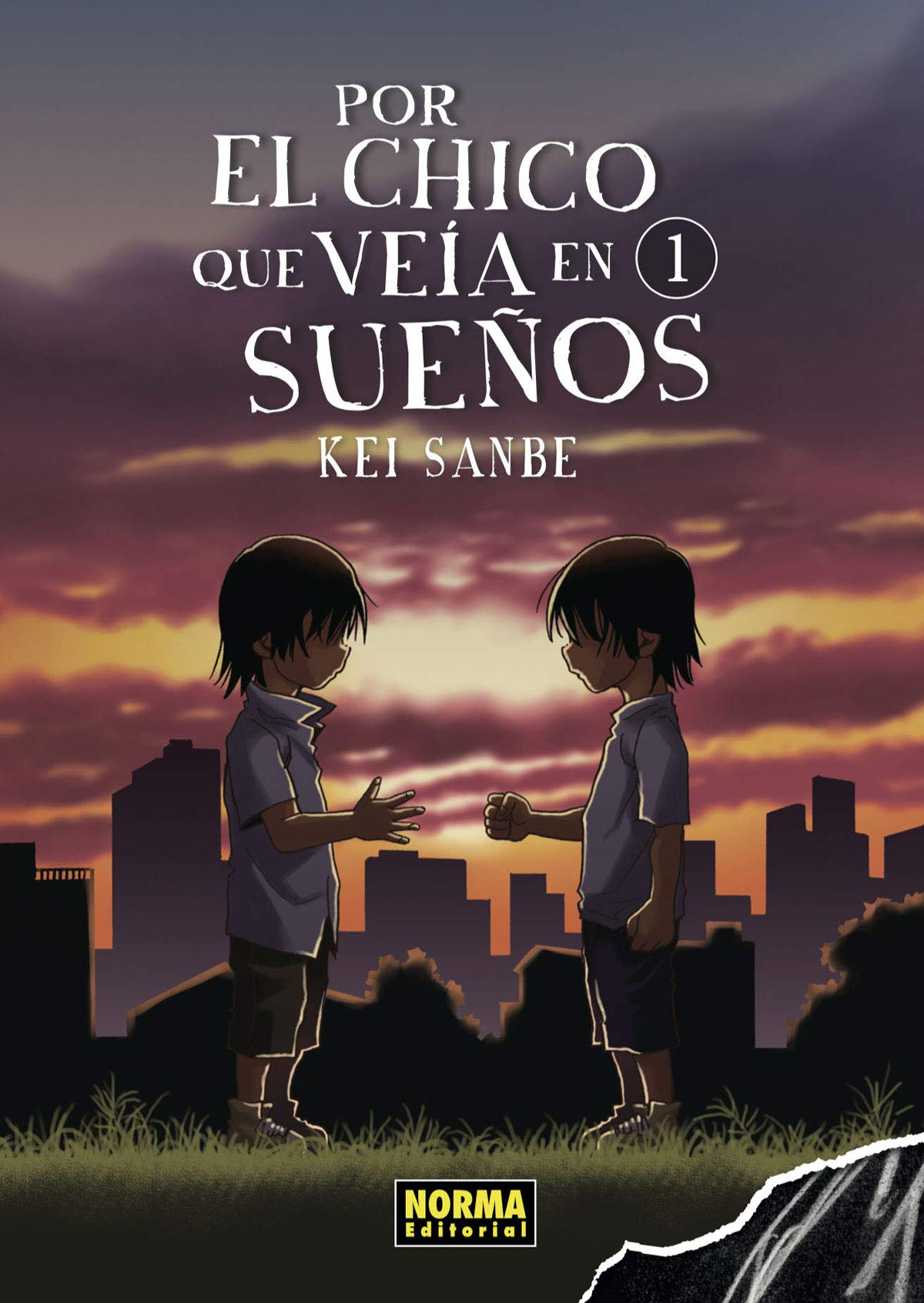 POR EL CHICO QUE VEIA EN SUEÑOS 01 book