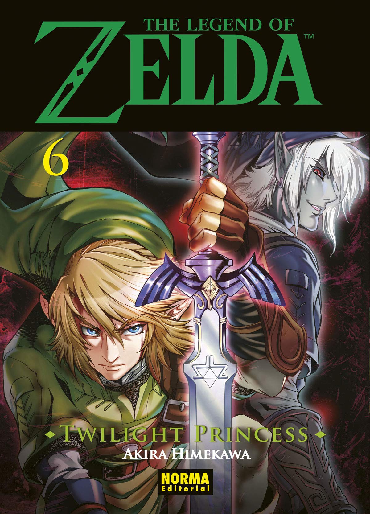 THE LEGEND OF ZELDA TWILIGHT PRINCESS 06 Books