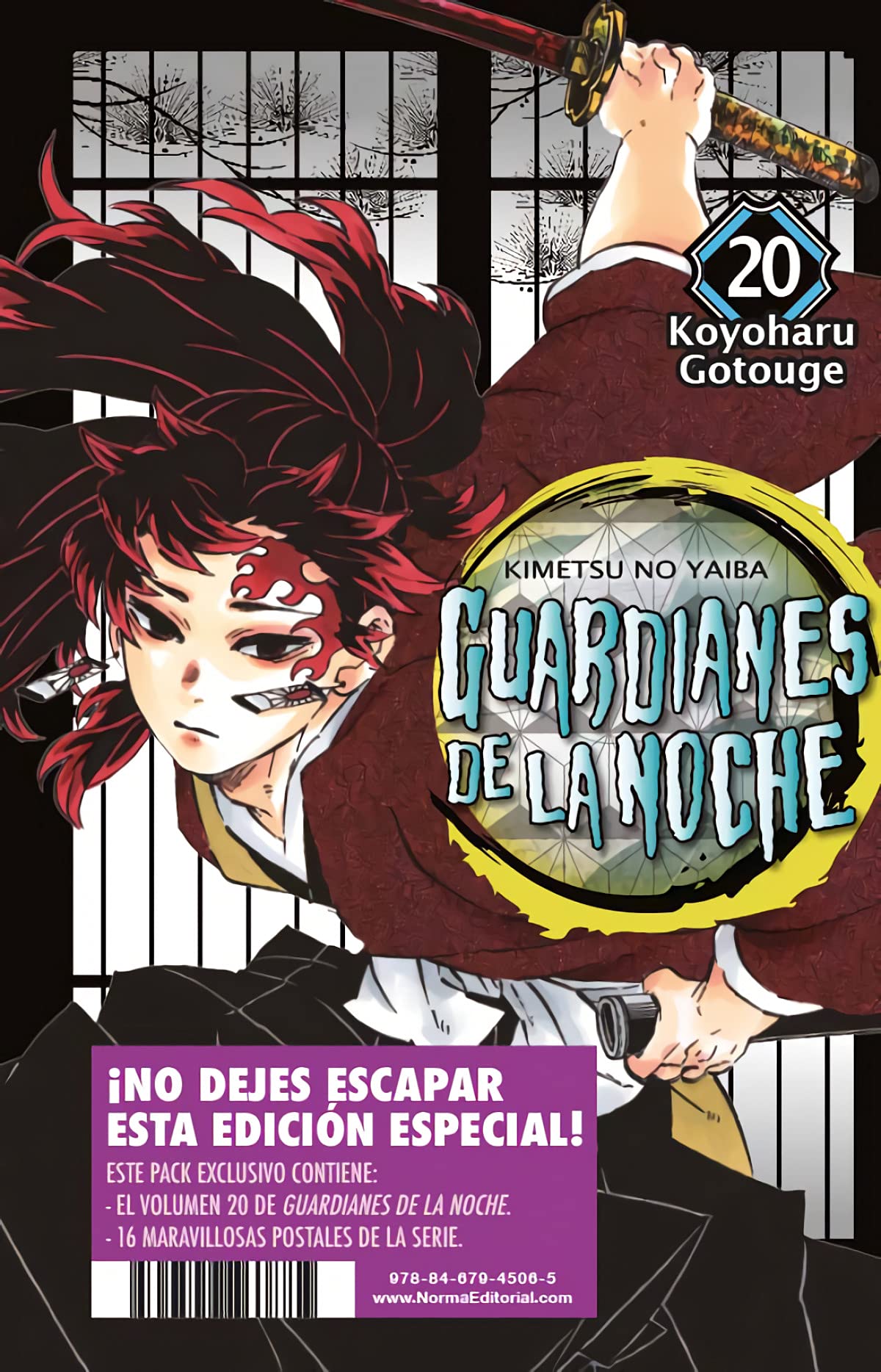 GUARDIANES DE LA NOCHE 20 ED. ESPECIAL book