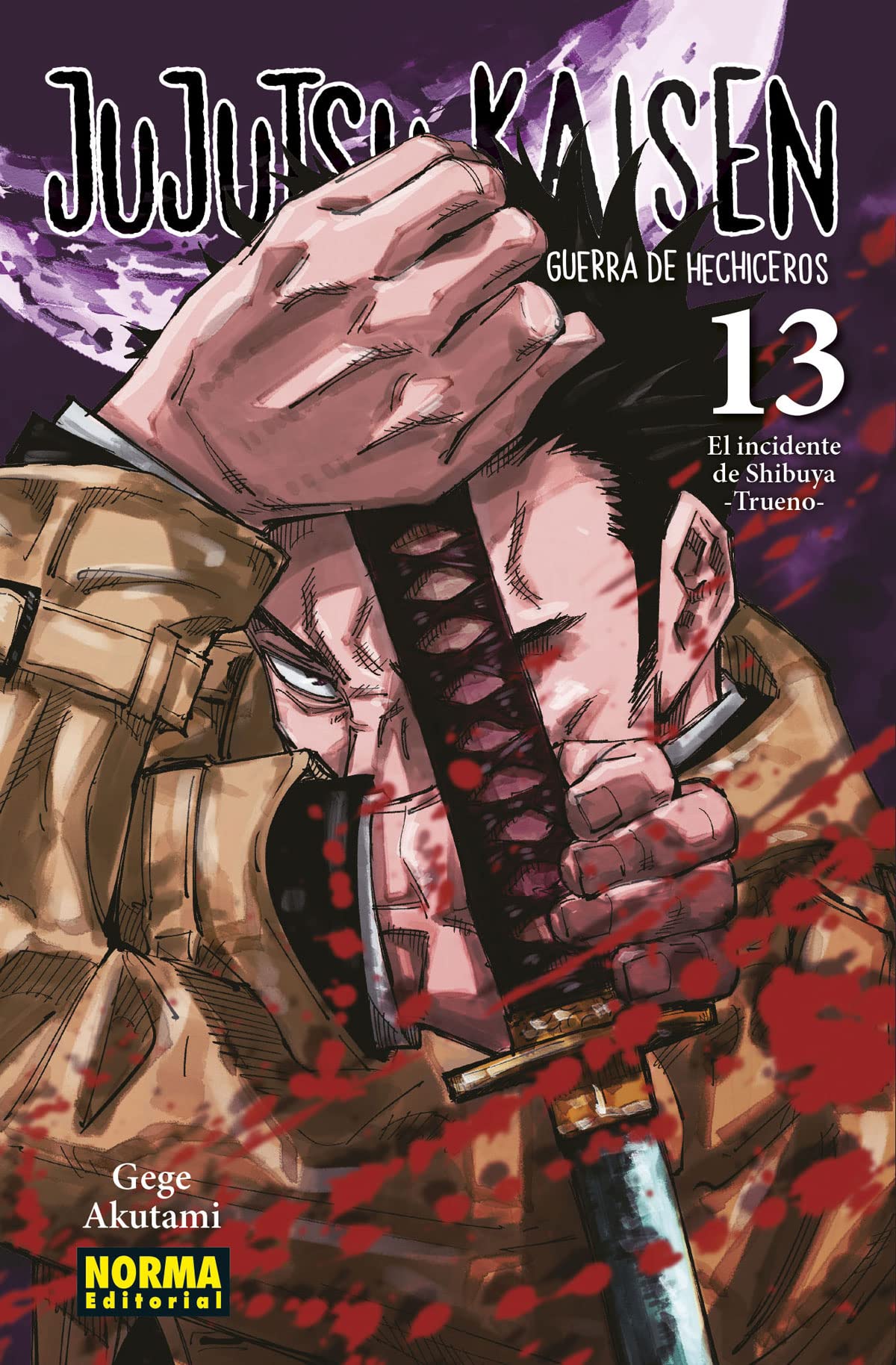 JUJUTSU KAISEN 13 Manga