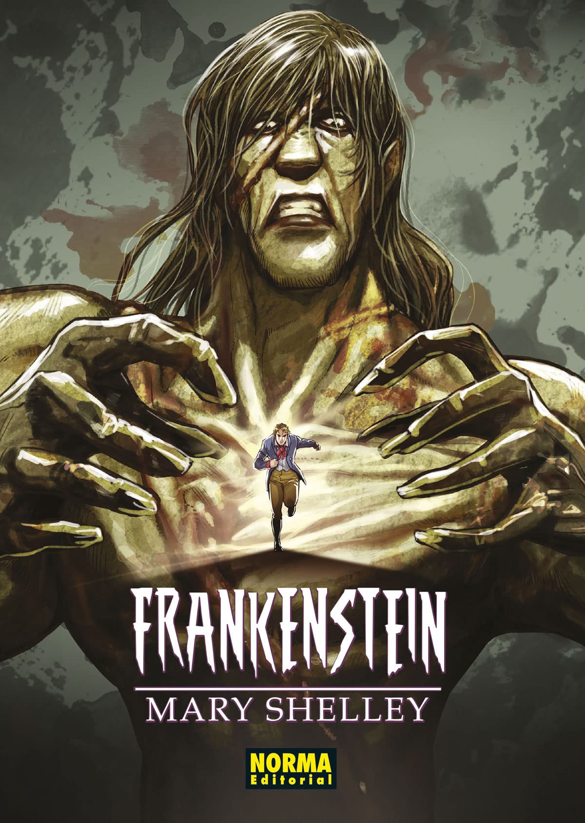 FRANKESTEIN: (CLÁSICOS MANGA) book