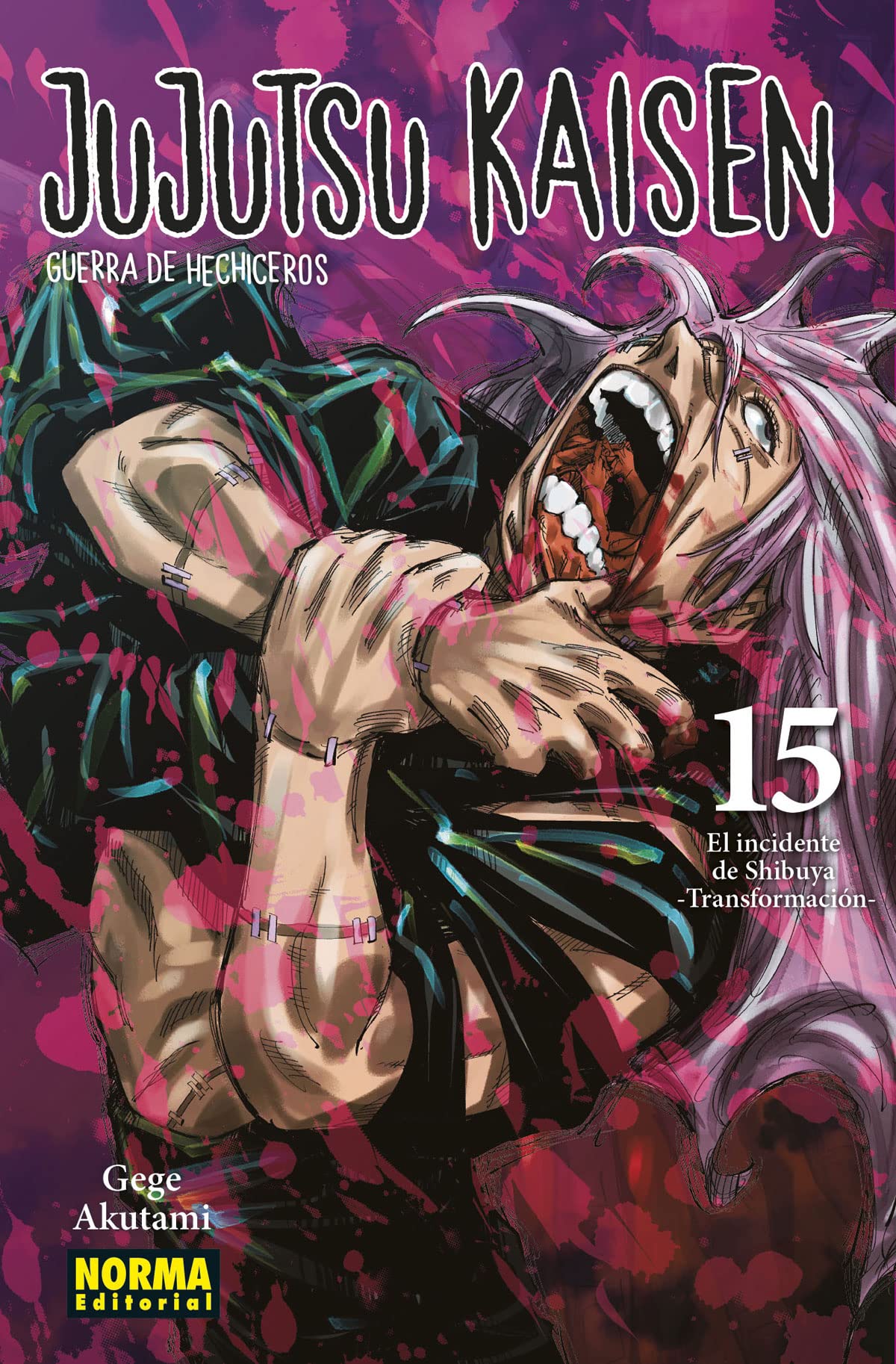 JUJUTSU KAISEN 15 book