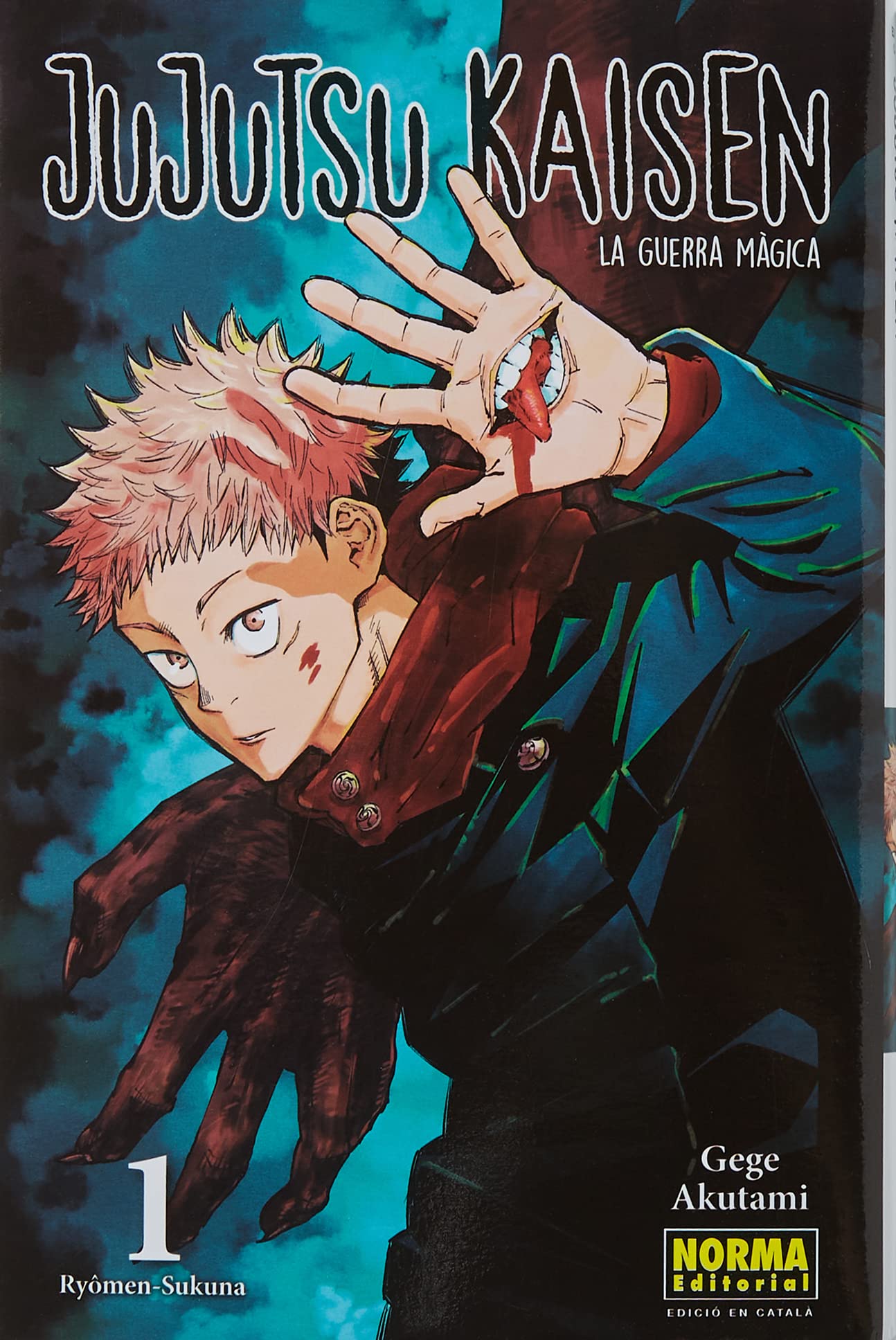 JUJUTSU KAISEN 01 CATALÀ: 1 book