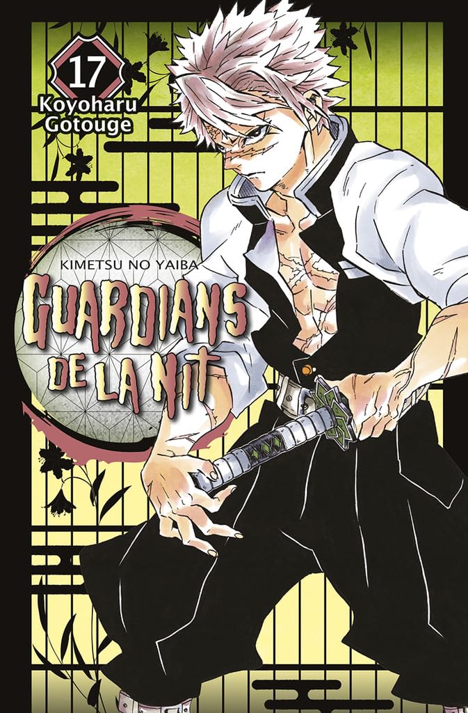 GUARDIANS DE LA NIT 17 (GUARDIANES DE LA NOCHE, Band 17) Manga
