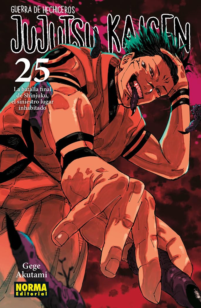 JUJUTSU KAISEN 25 Manga