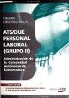 ATS/DUE (GRUPO II) PERSONAL LABORAL DE LA ADMINISTRACIÓN DE LA COMUNIDAD AUTÓNOMA DE EXTREMADURA. TEMARIO ESPECÍFICO VOL. III. (Colección 1579) Education & Training