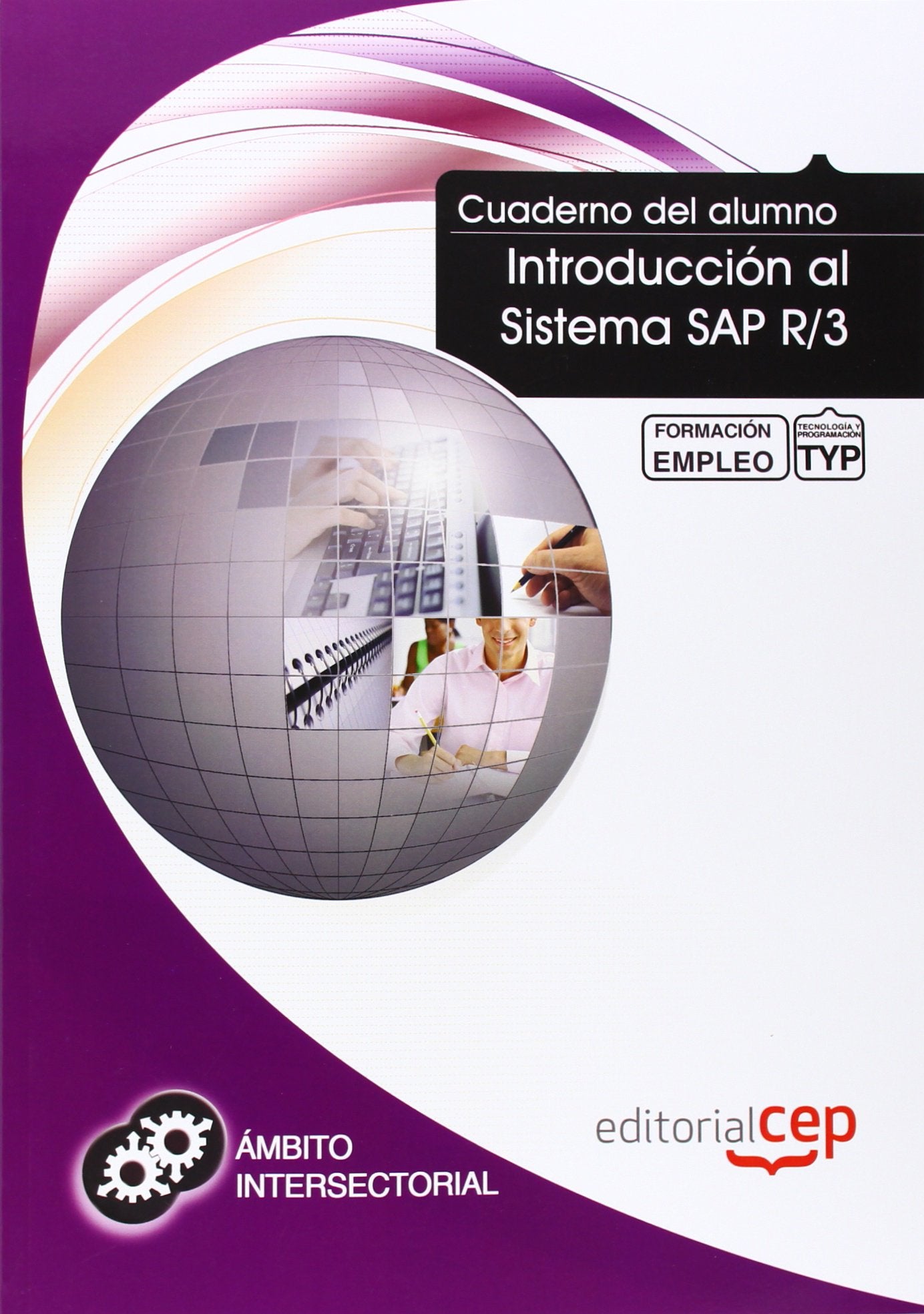 Introducción al sistema SAP R-3 : formación para el empleo Study Guides