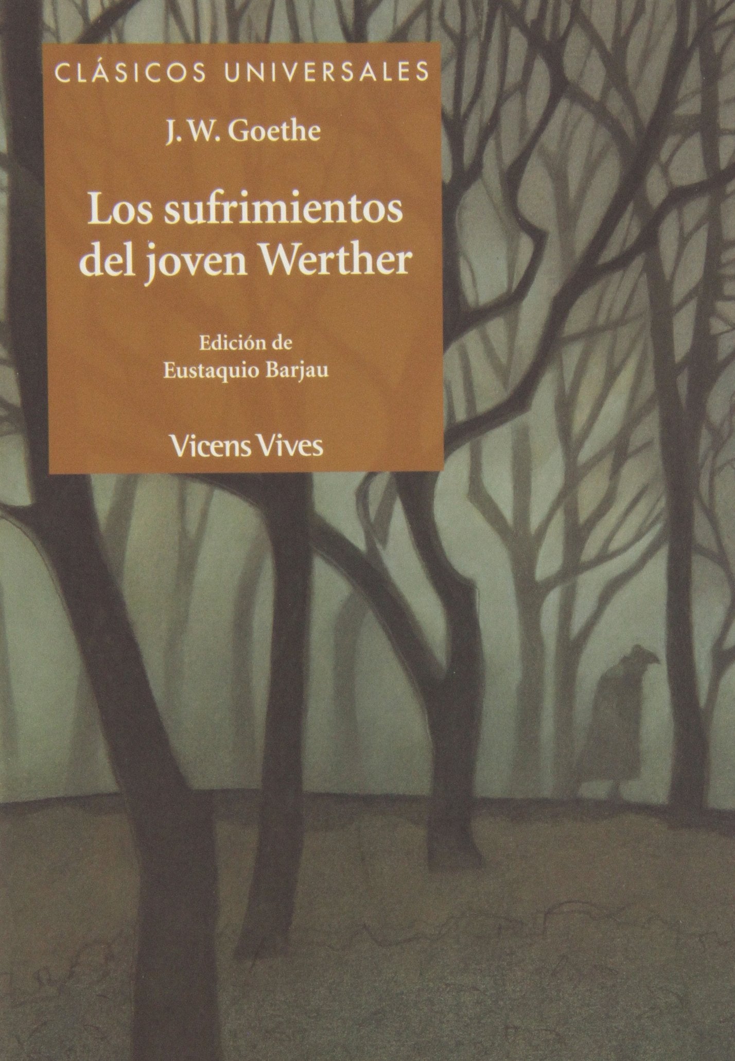 Los Sufrimientos Del Joven Werther (Clásicos Universales) Books