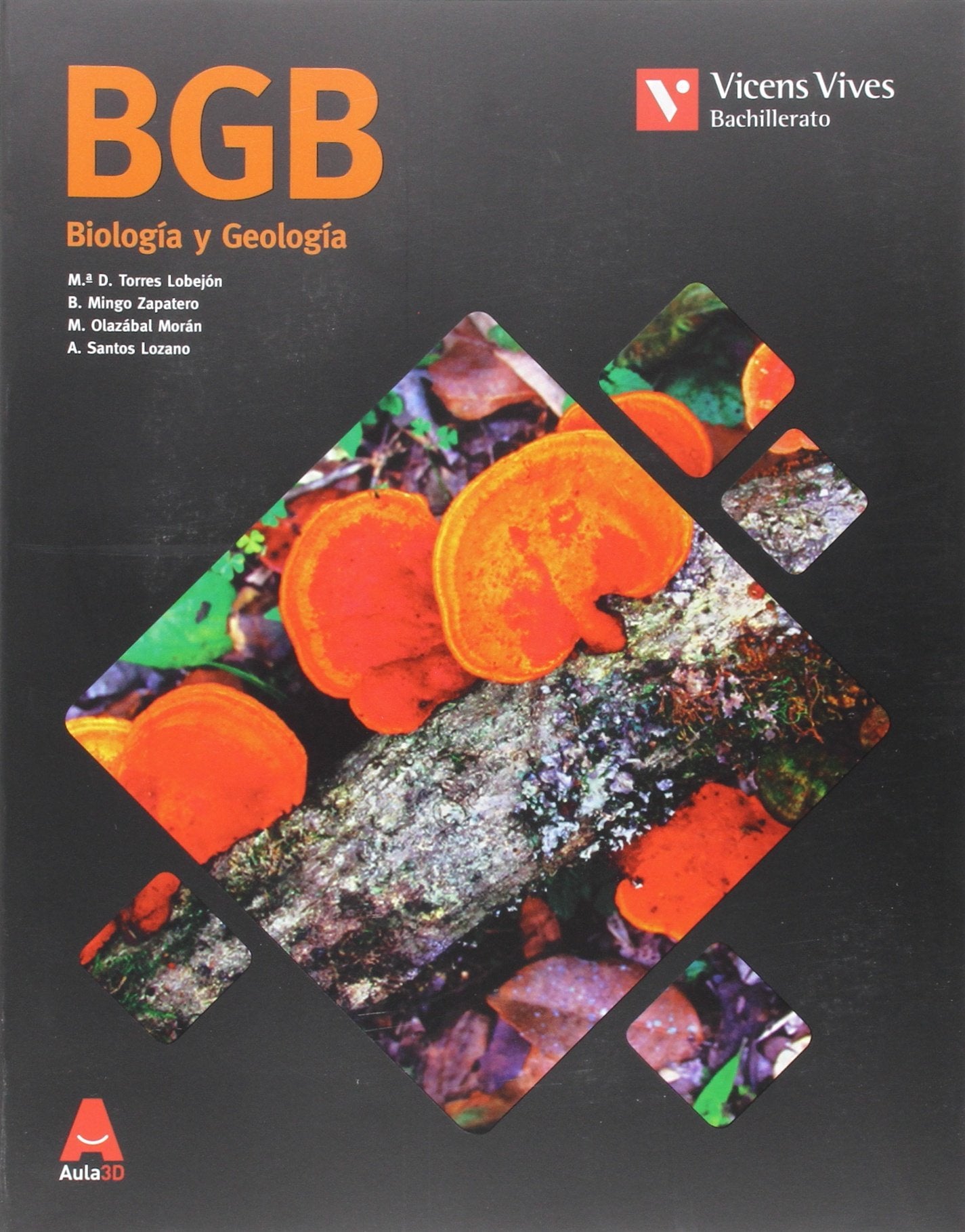 BGB (BIOLOGIA Y GEOLOGIA BACH) AULA 3D Books
