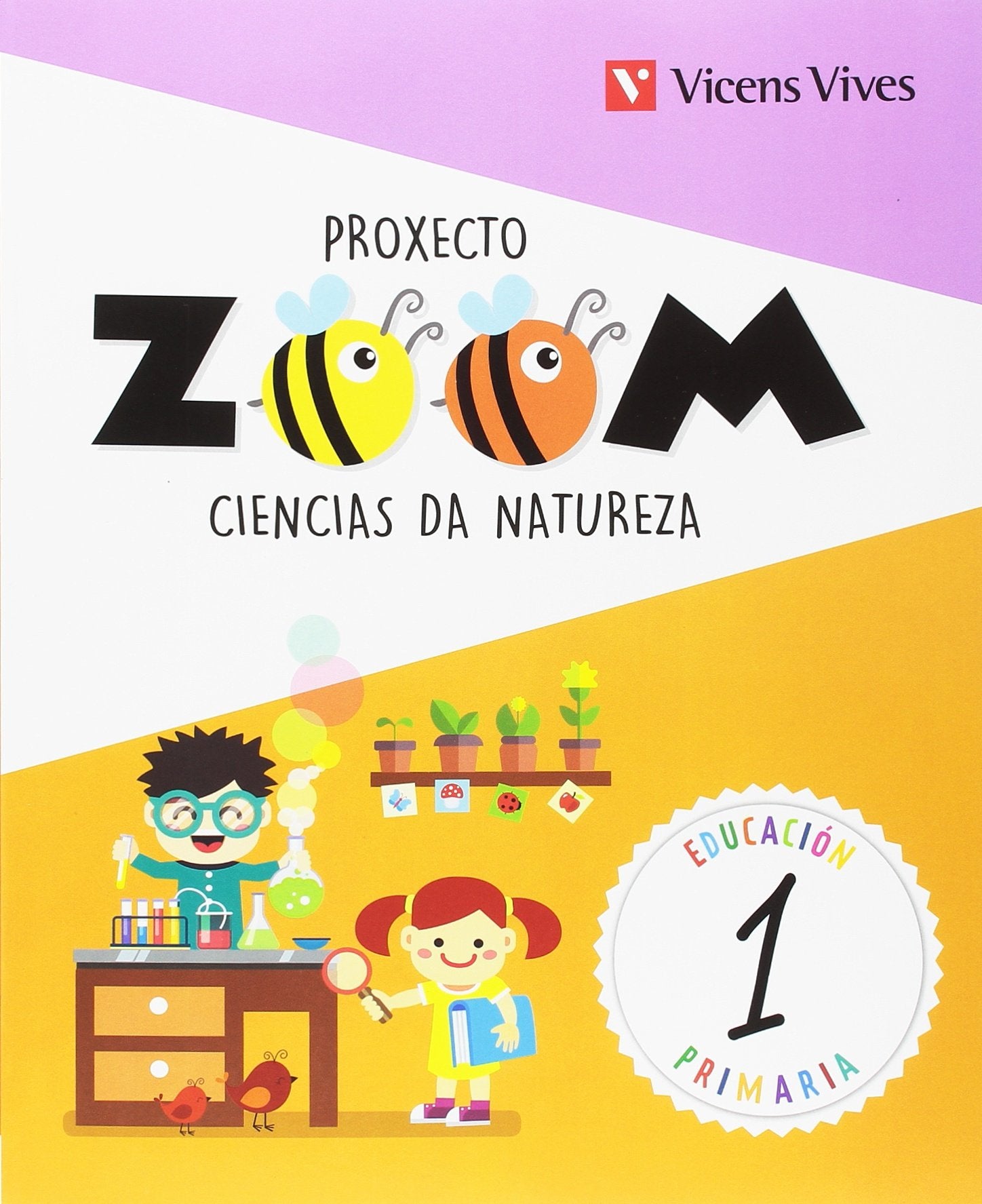 CIENCIAS DA NATUREZA 1+ ACTIVIDADES BENVIDA (ZOOM) Books