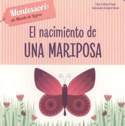 EL NACIMIENTO DE UNA MARIPOSA (VVKIDS) book