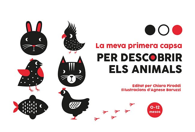 LA MEVA PRIMERA CAPSA PER DESCOBRIR ELS ANIMALS VV book