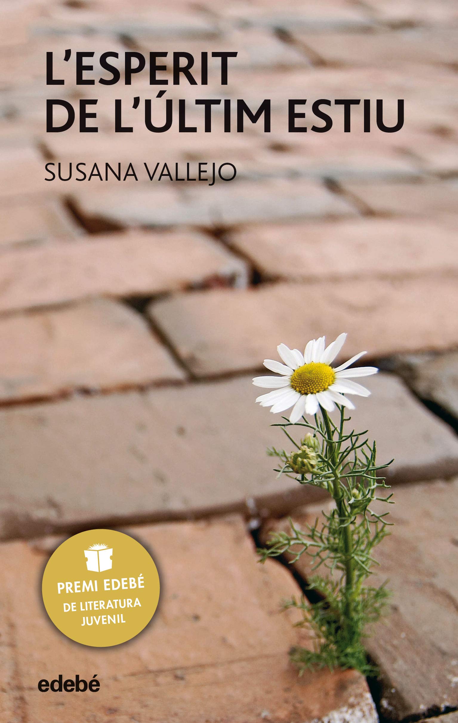 L'ESPERIT DE L'ÚLTIM ESTIU book