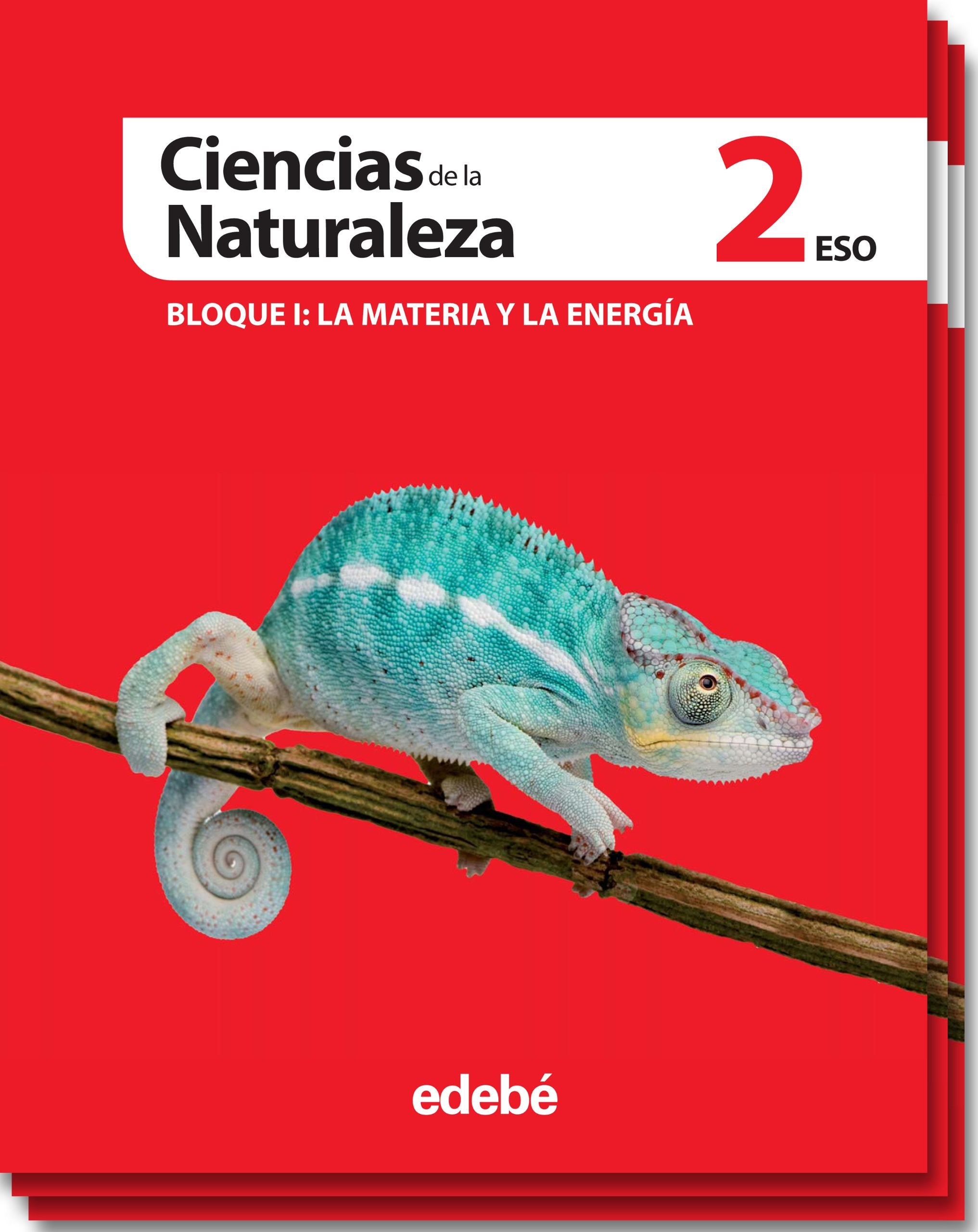 CIENCIAS DE LA NATURALEZA 2 book
