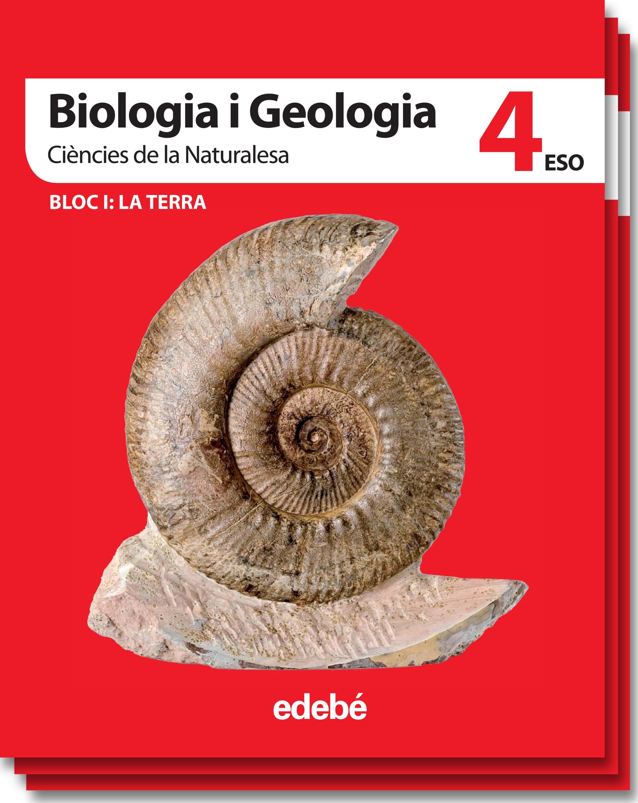 Ciències de la naturalesa, biologia i geologia, 4 ESO Education