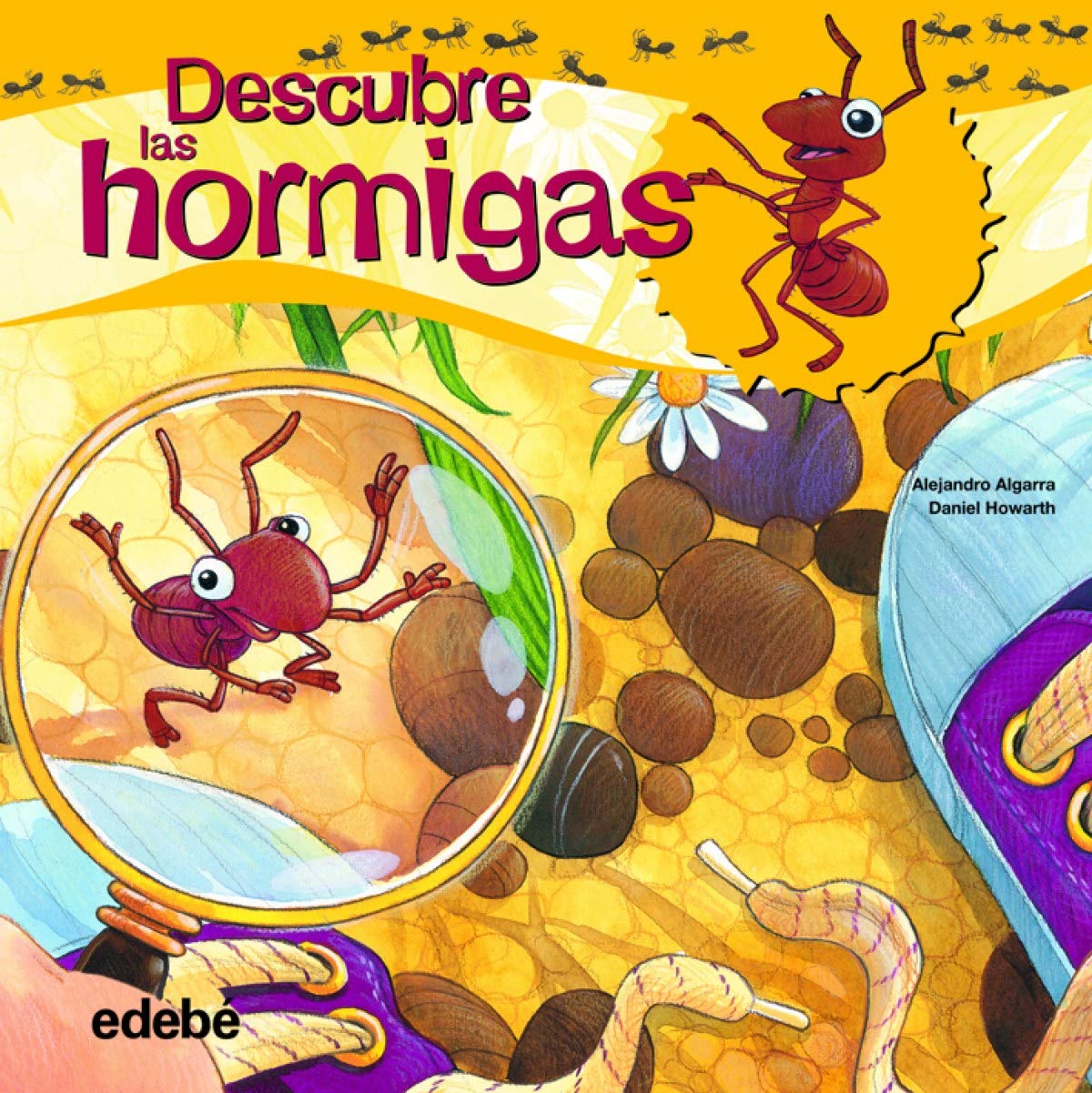 Descubre las hormigas/ Discover The Ants book