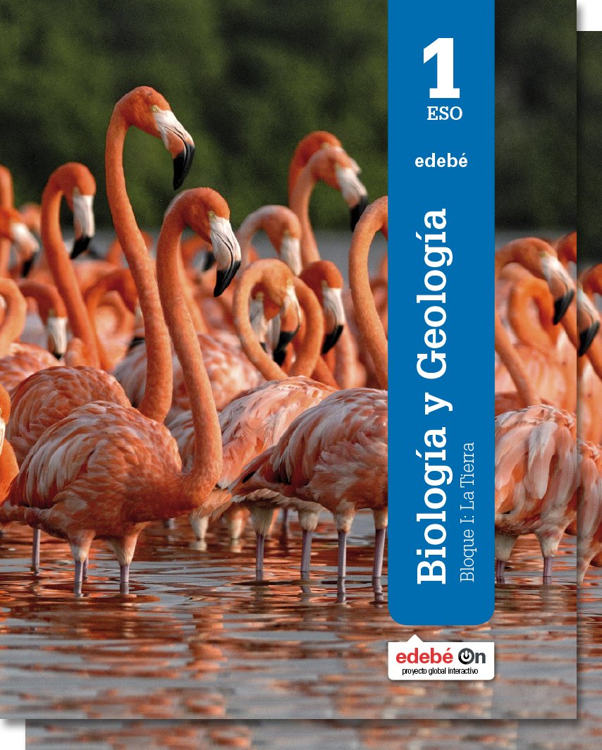 BIOLOGÍA Y GEOLOGÍA 1 book