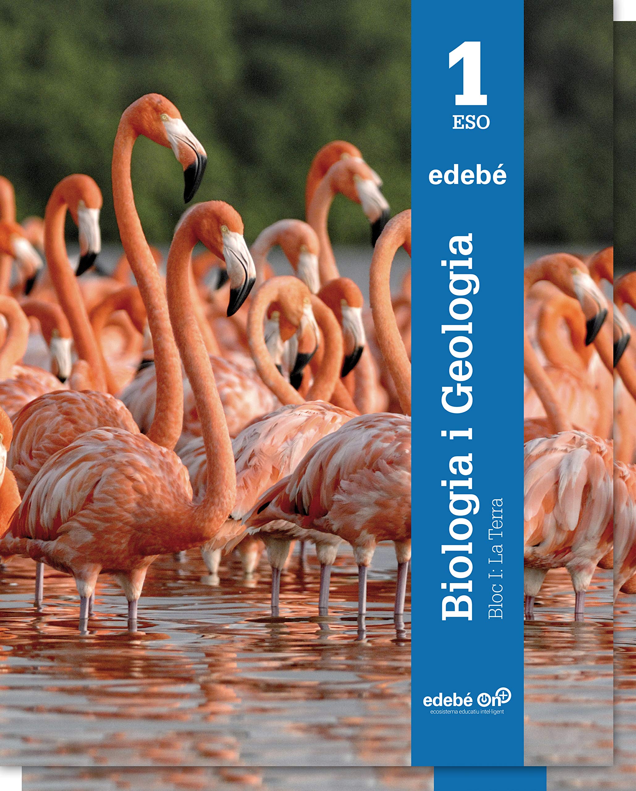 BIOLOGIA I GEOLOGIA 1 book