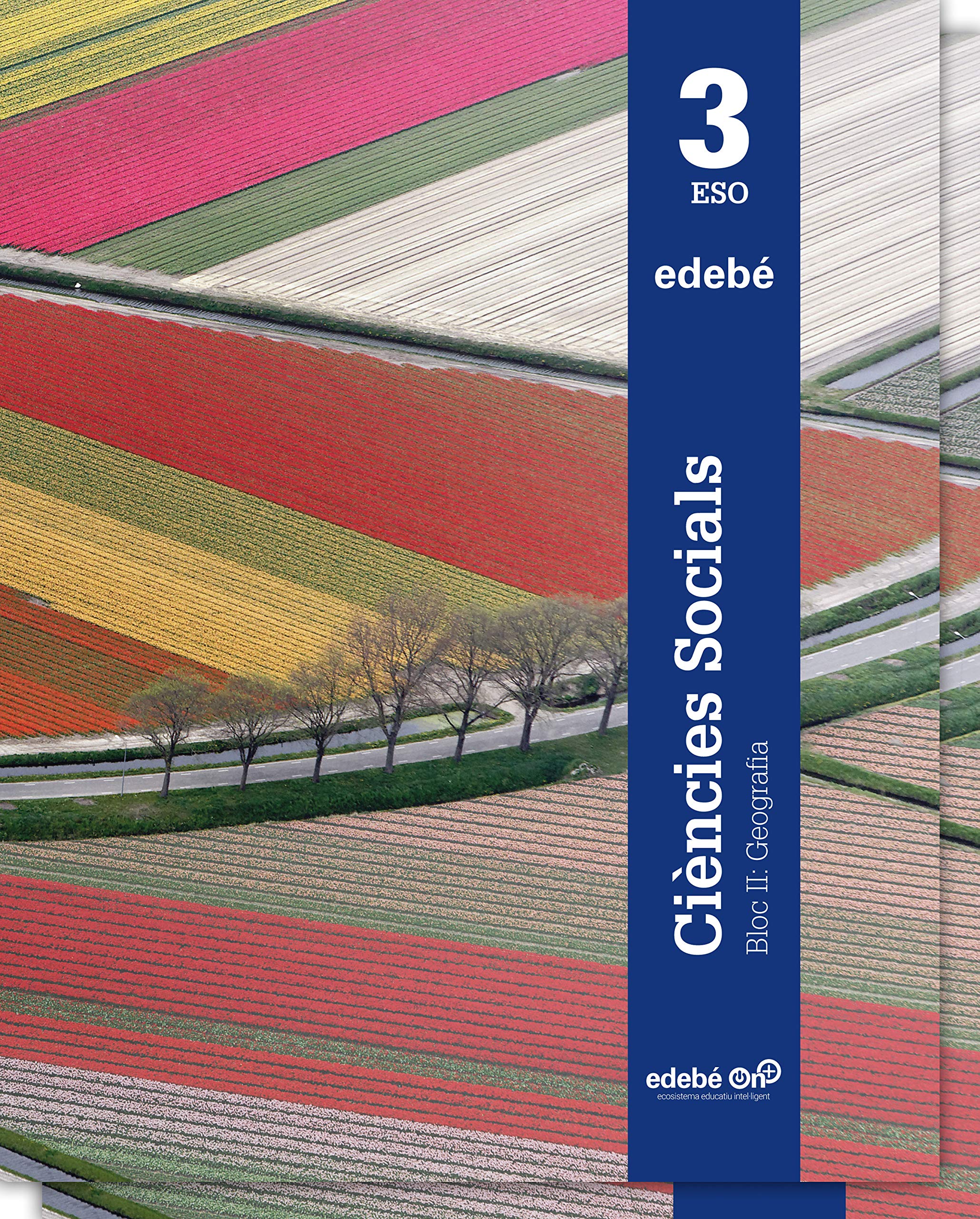 CIÈNCIES SOCIALS, GEOGRAFIA I HISTÒRIA 3 book