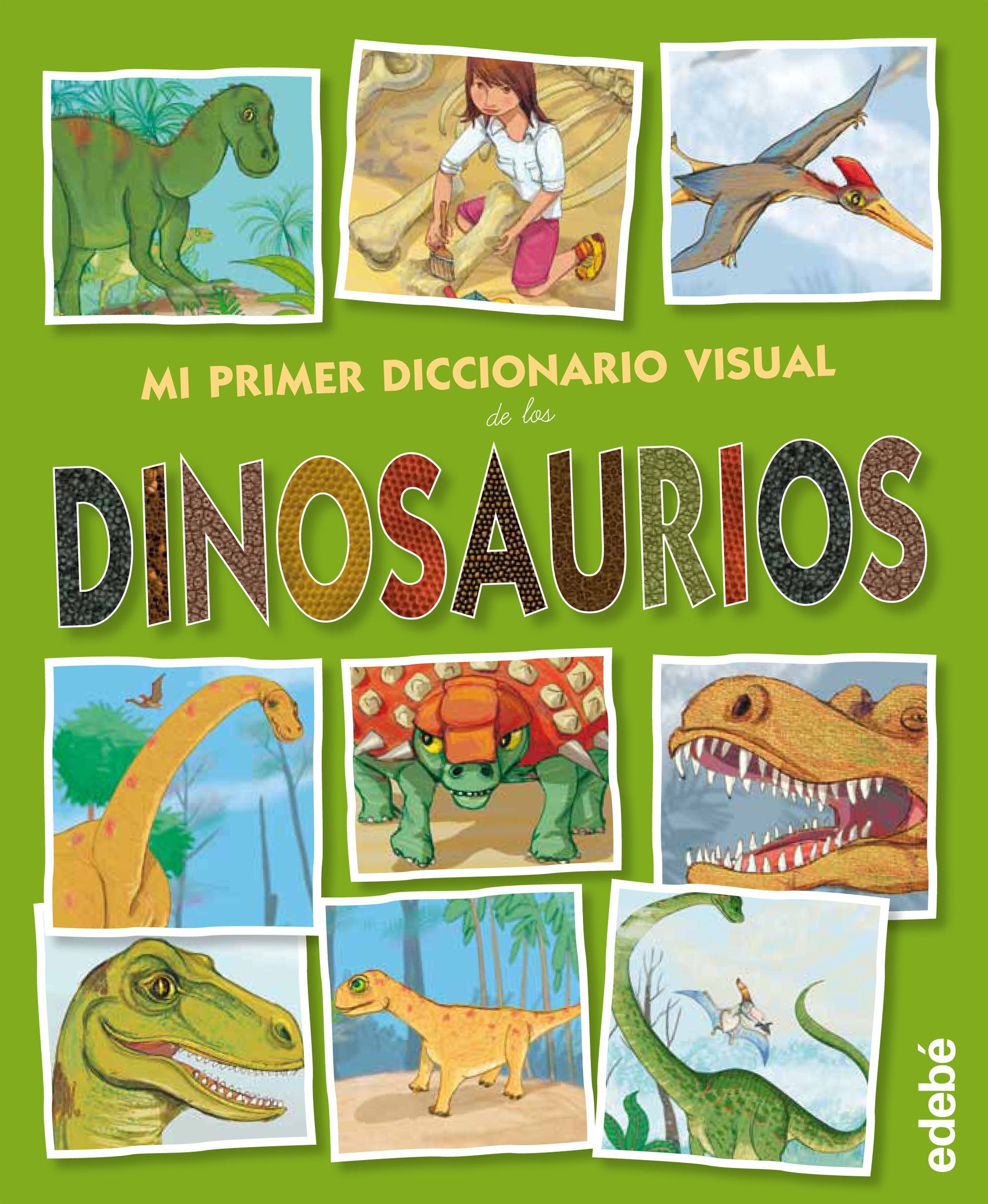 Mi primer diccionario visual de los dinosaurios Social Sciences