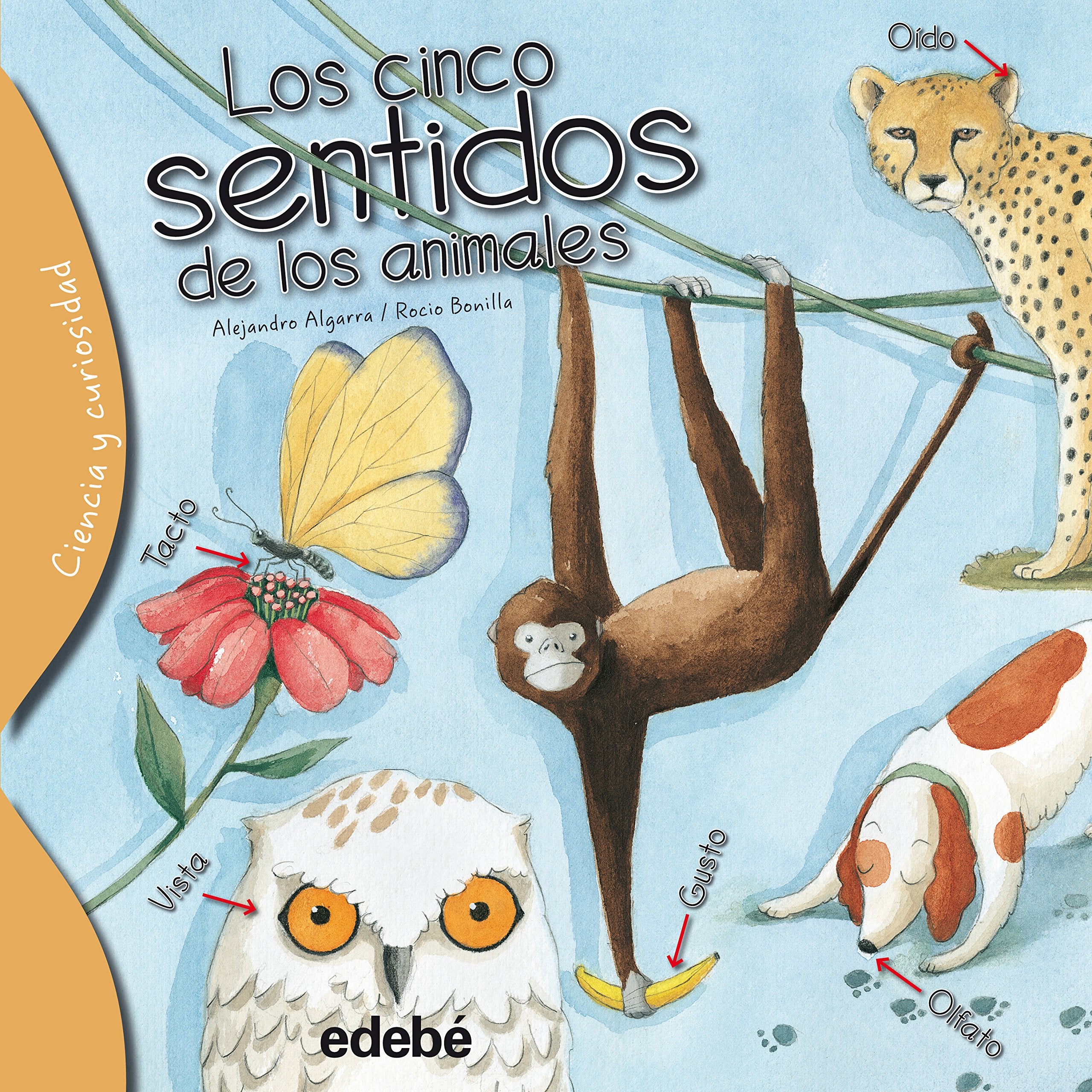 Los cinco sentidos de los animales Novels & Short Stories