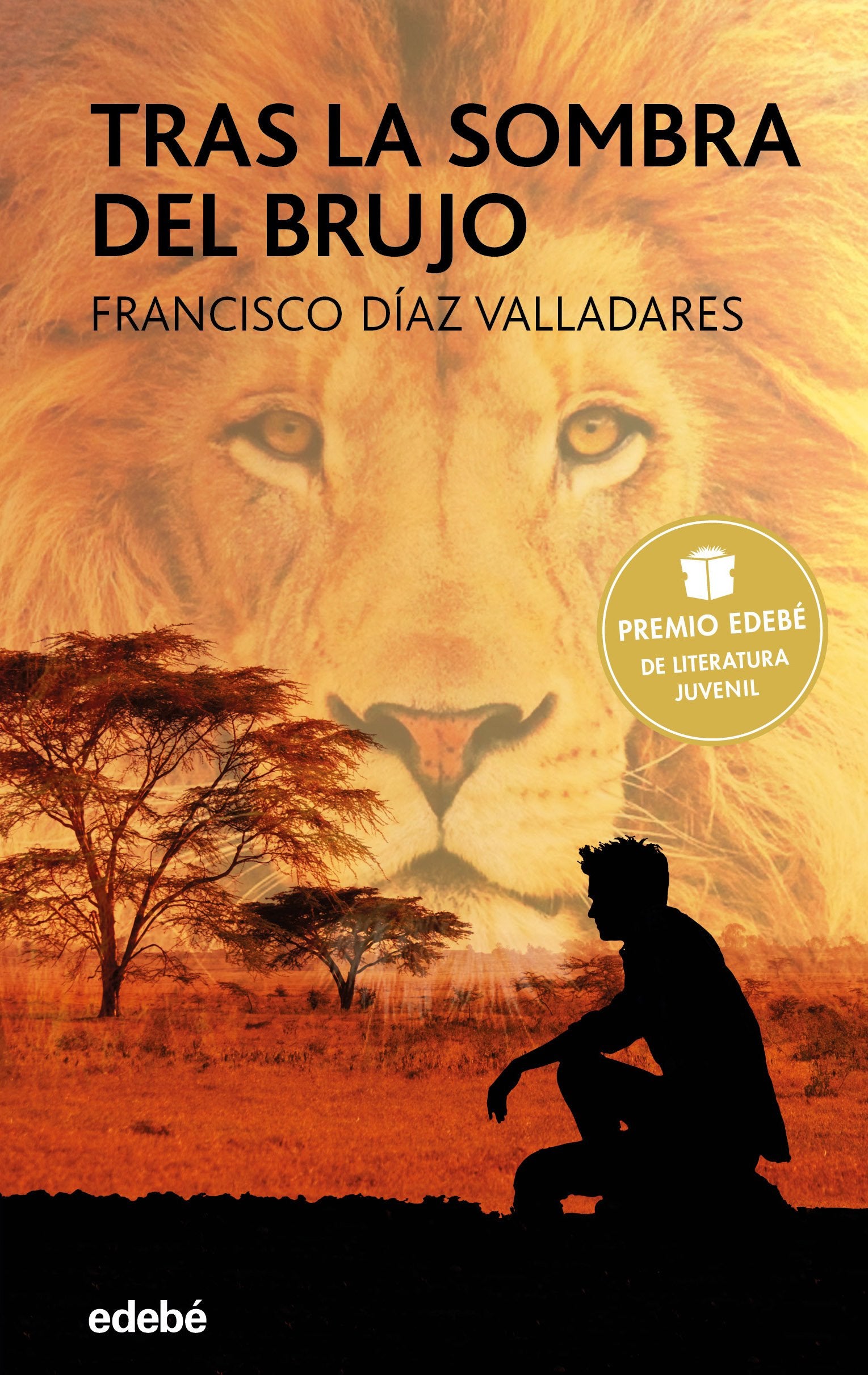 TRAS LA SOMBRA DEL BRUJO book